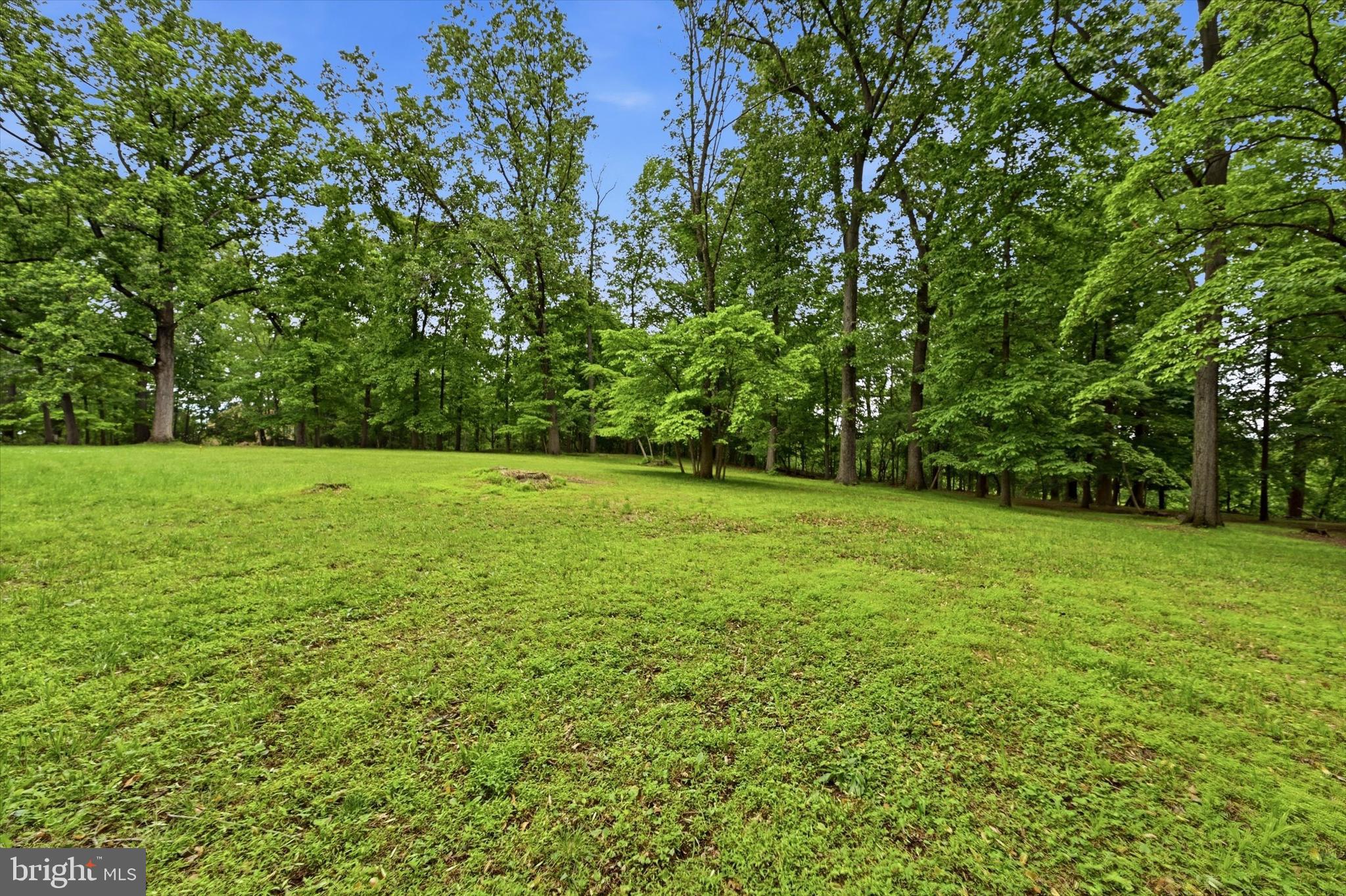 Lot #2 DOGWOOD LANE