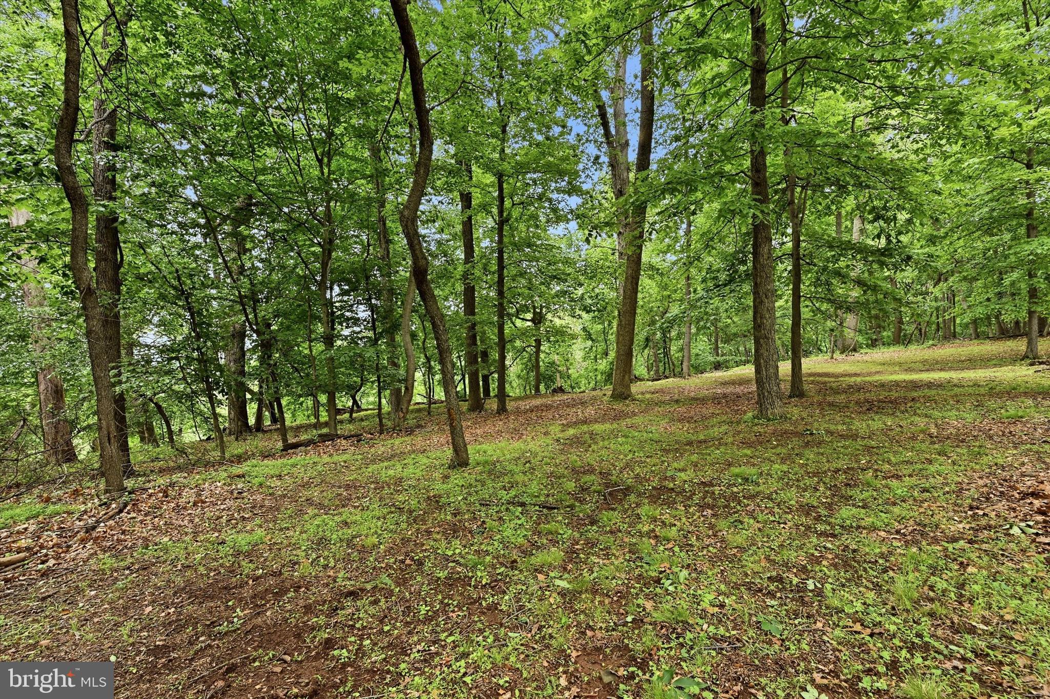 Lot #2 DOGWOOD LANE
