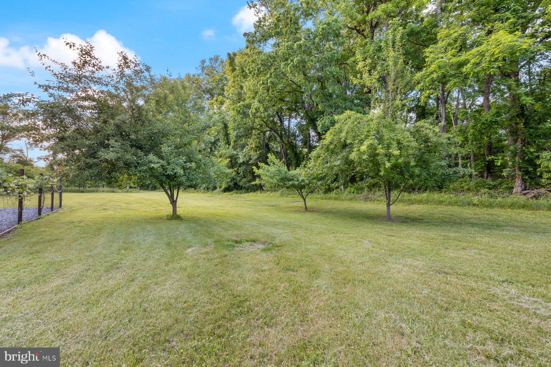 NONE AVAILABLE - Farm