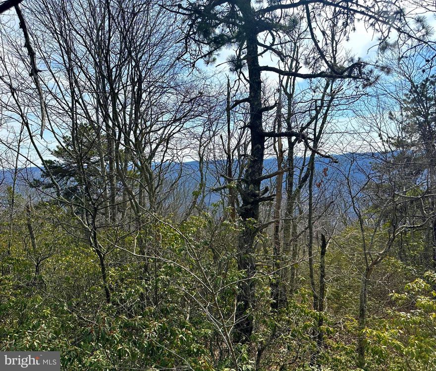 TOP of the MOUNTAIN with the potential of Easterly Scenic VIEWS.  11+ UNRESTRICTED acres to explore, hunt, build your dream home/retreat, or camp.  YOU CHOOSE how to use it.   Access to the property is through the development, but not part of the development.  NO POA Fee.  Be sure to reach out today, before it is too late.