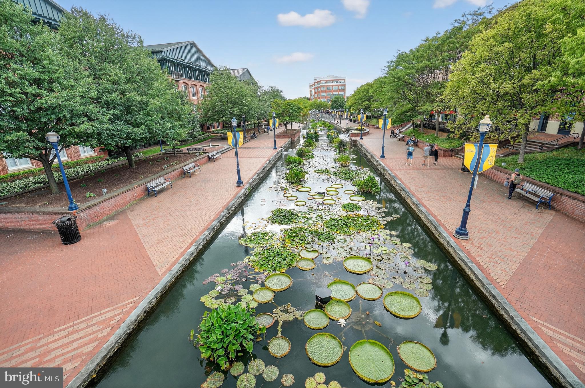 DOWNTOWN FREDERICK - Residential