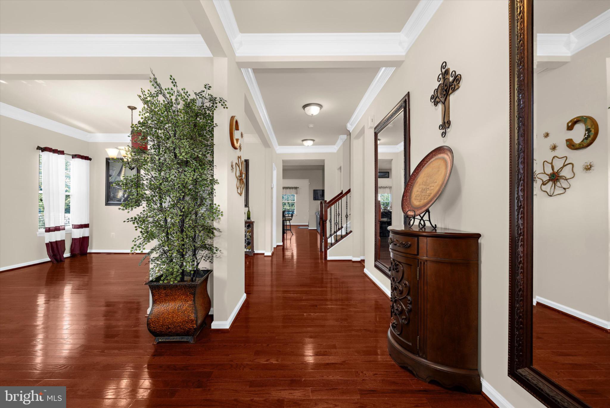 MEDLEY ESTATES - Residential