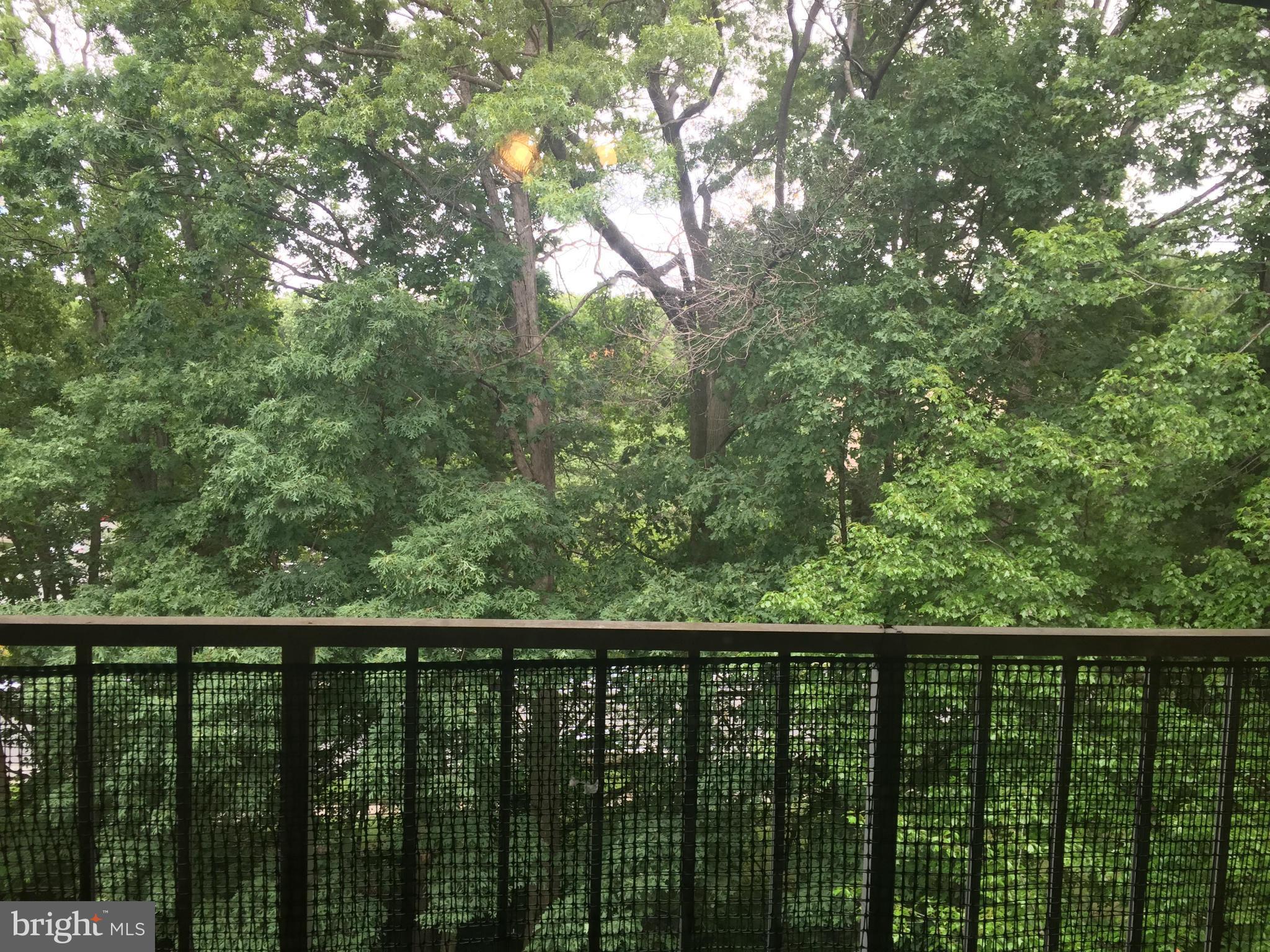 SAXONY SQUARE - Residential Lease