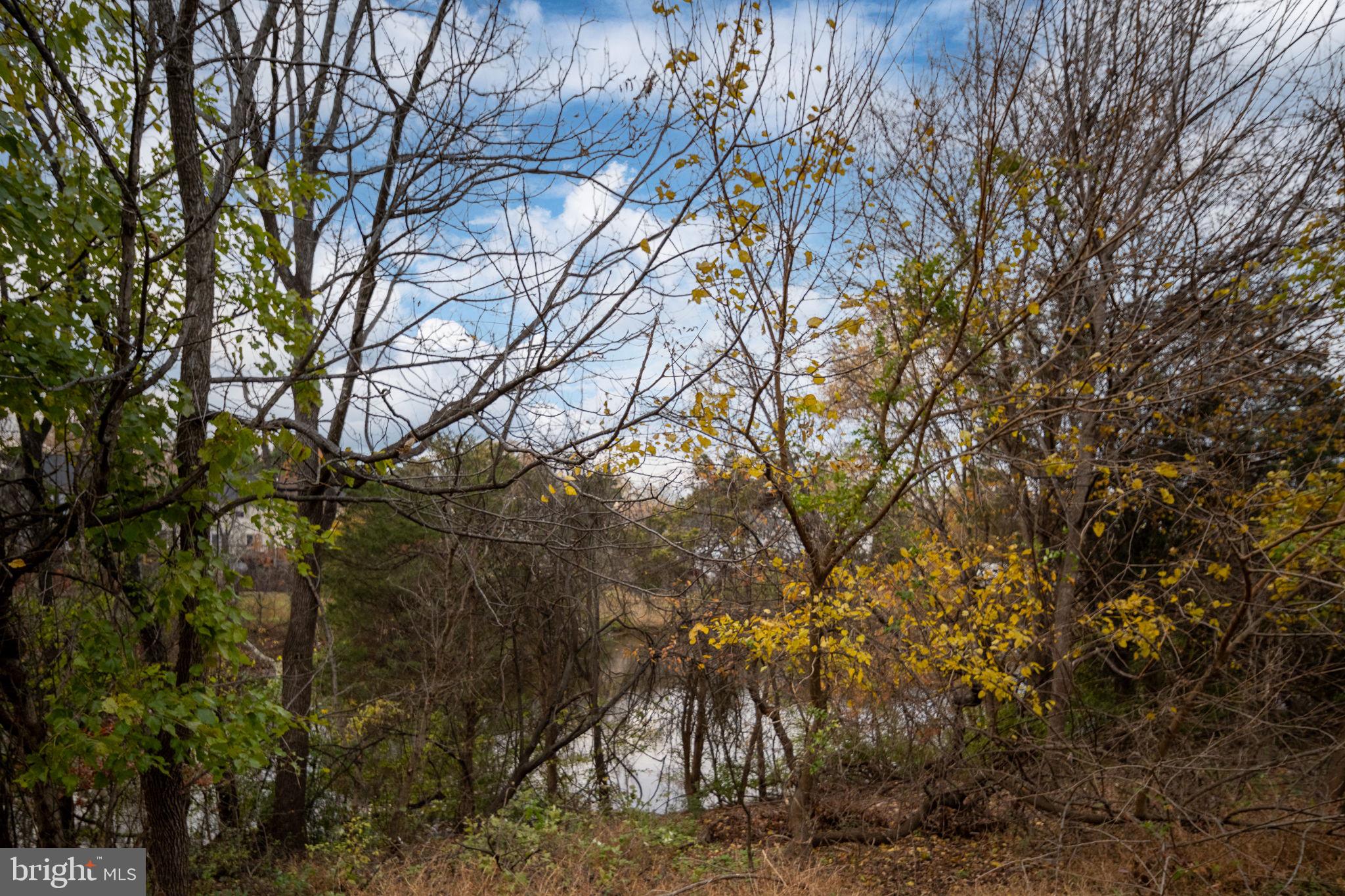 POINT OF WOODS EAST - Residential