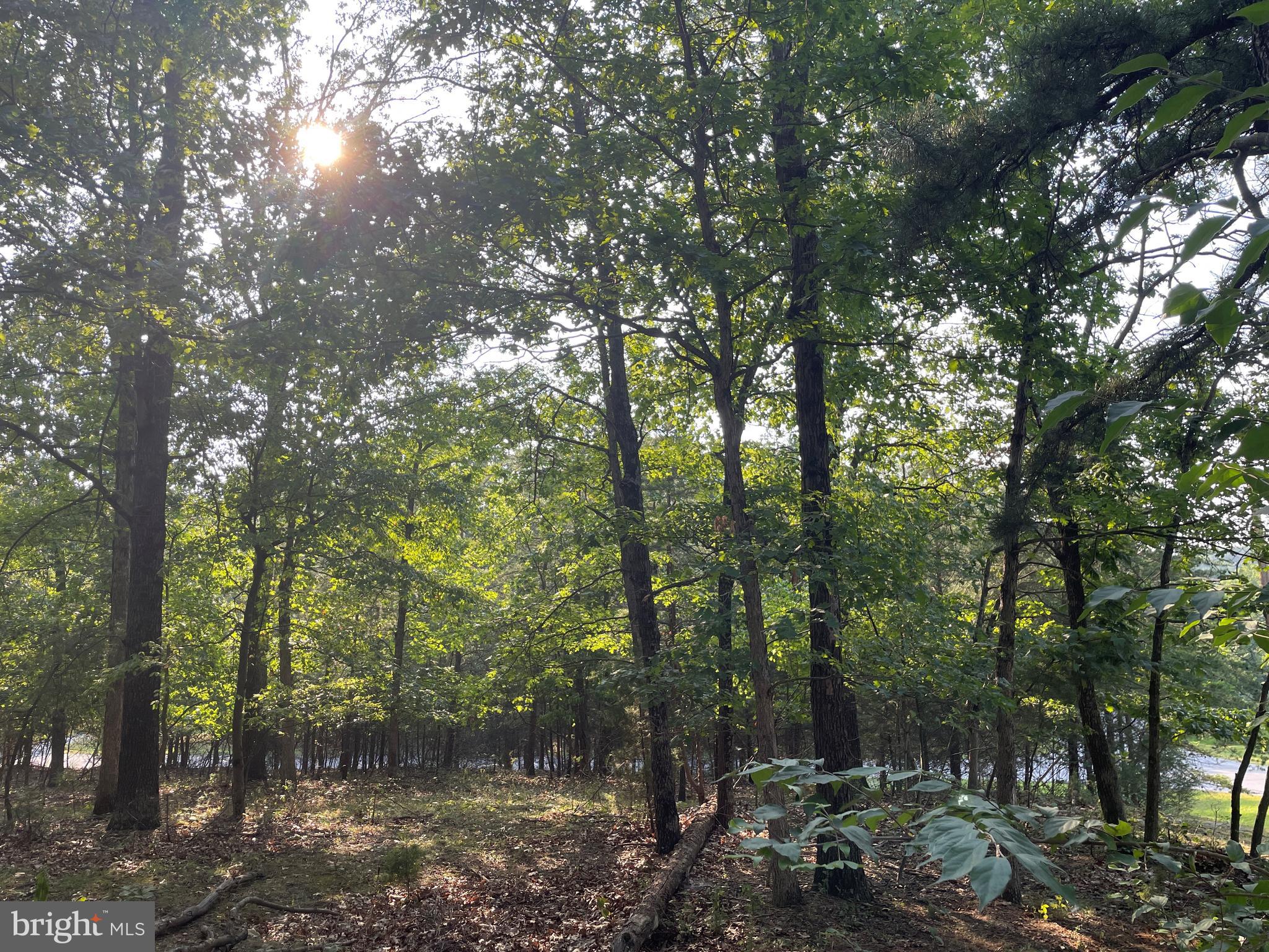 FOXCREST MANOR - Residential