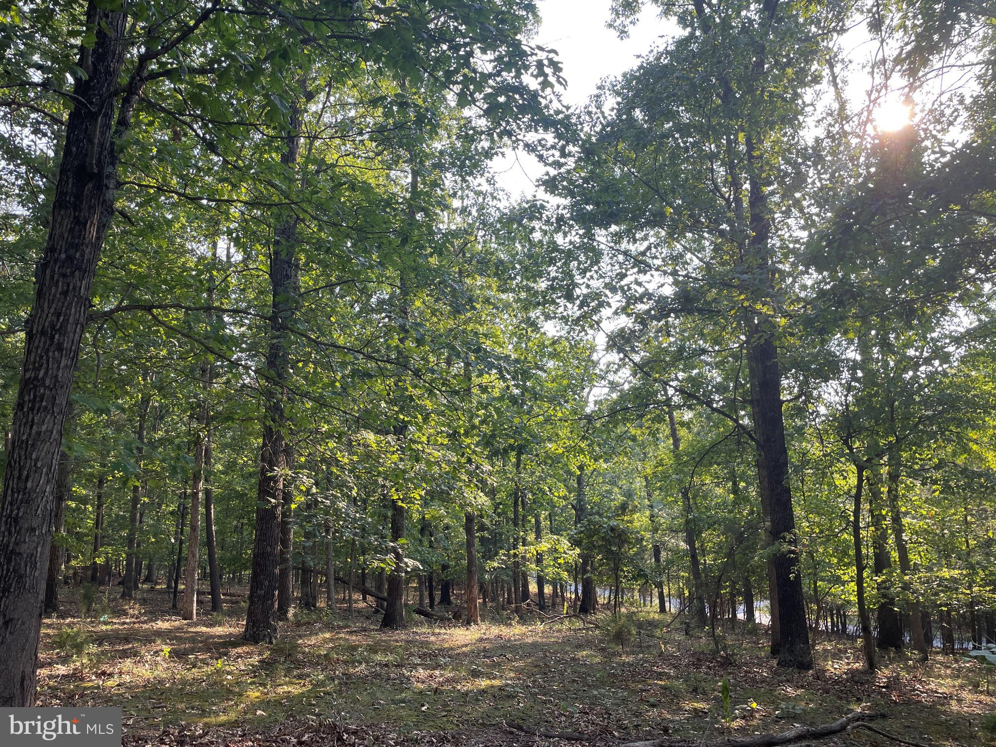 FOXCREST MANOR - Residential