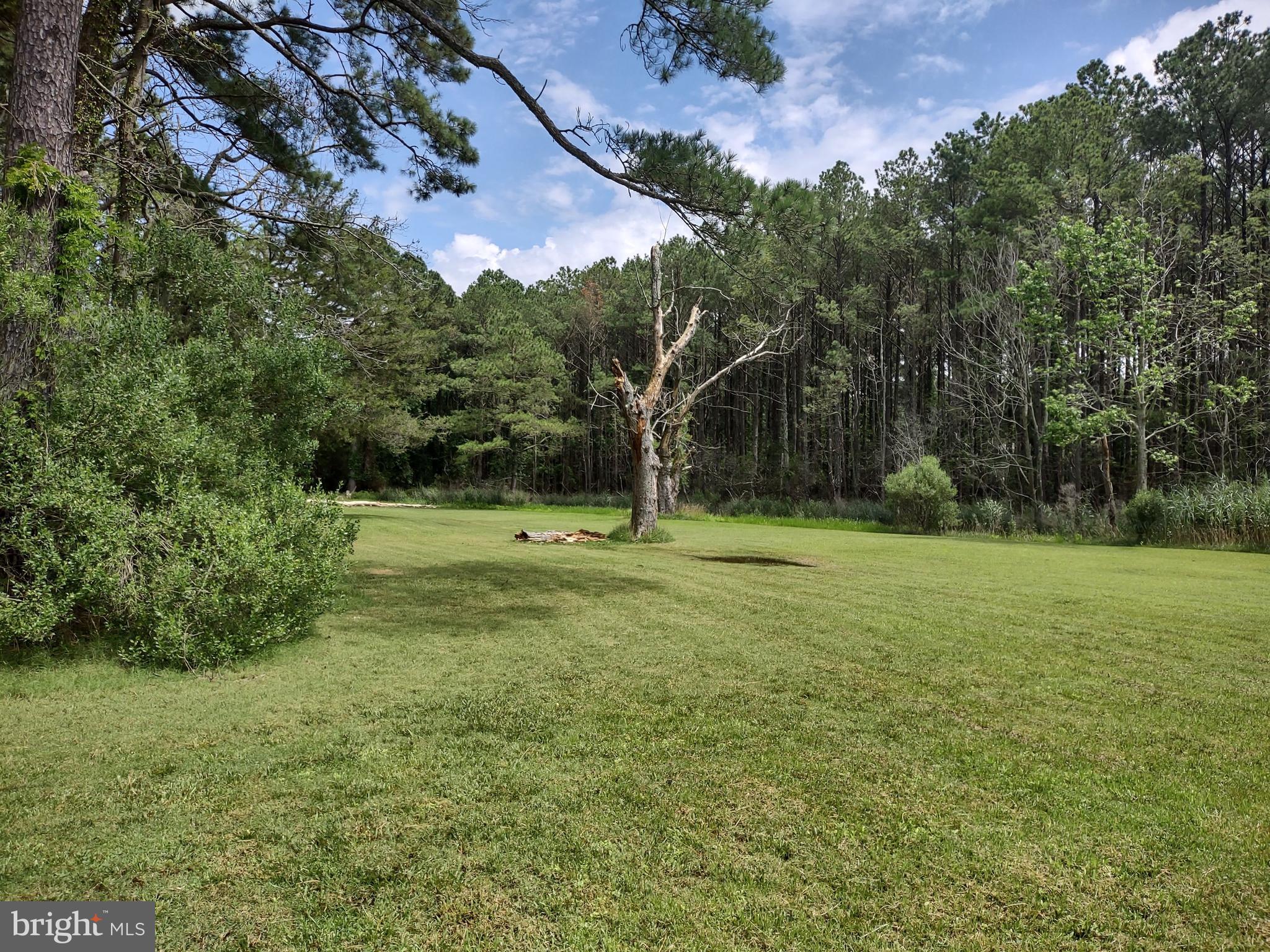 3175 BOONE ROAD