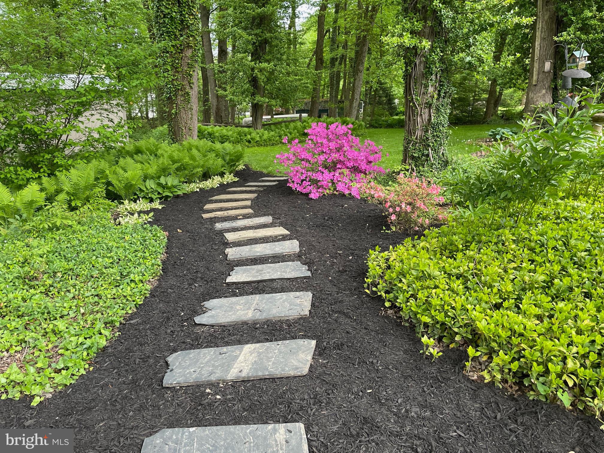 MONTGOMERY WOODS - Residential
