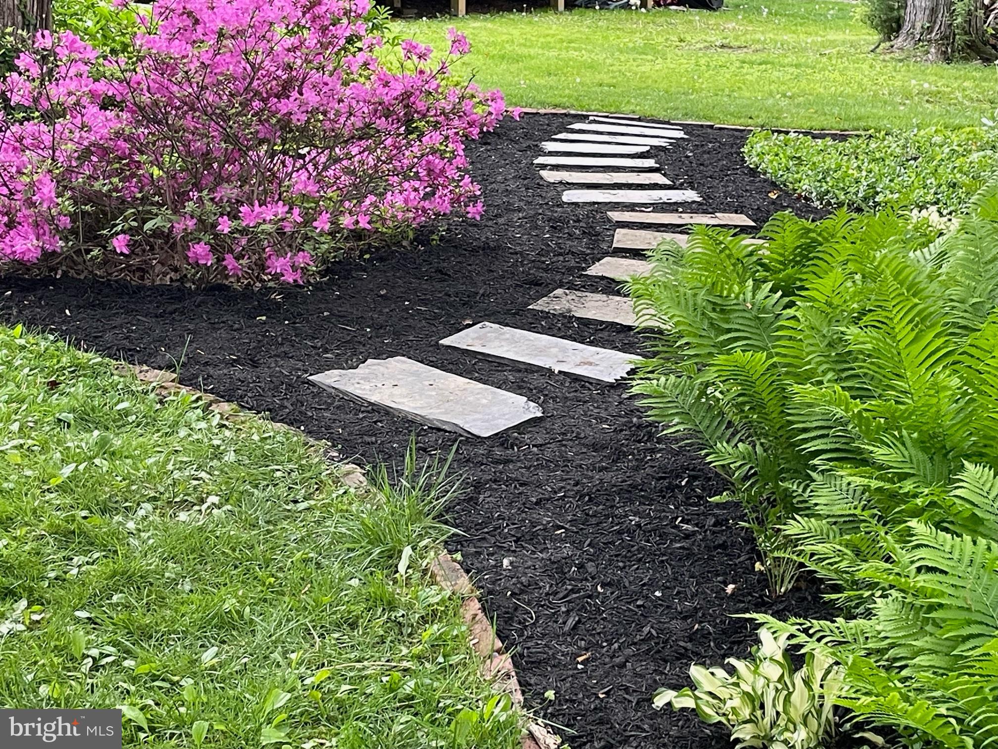 MONTGOMERY WOODS - Residential