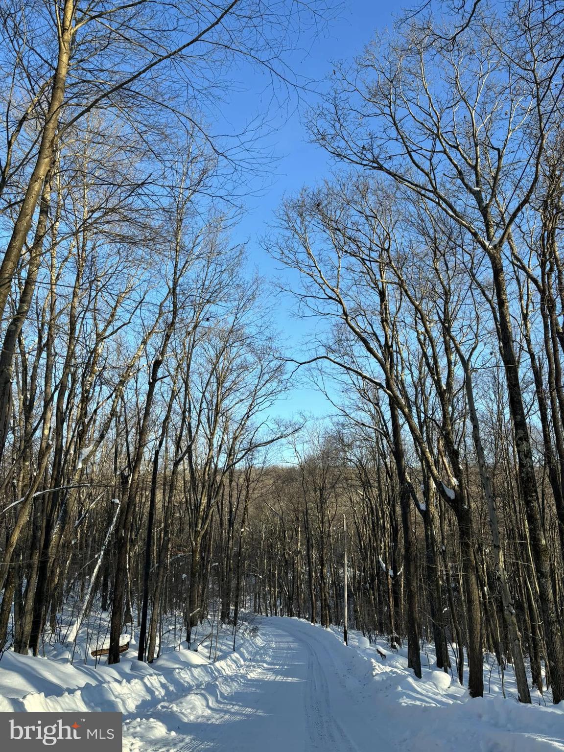 YOUGH MT. RESORT - Land