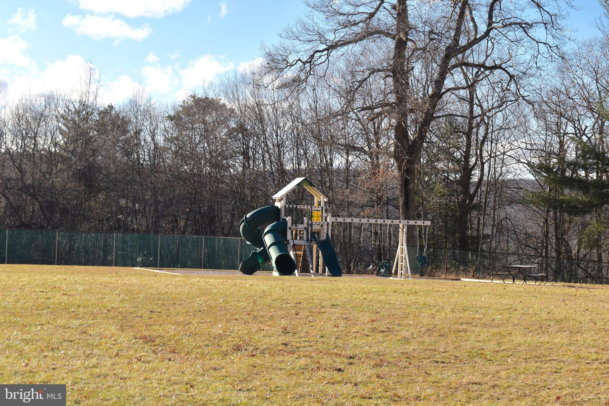 YOUGH MT. RESORT - Land