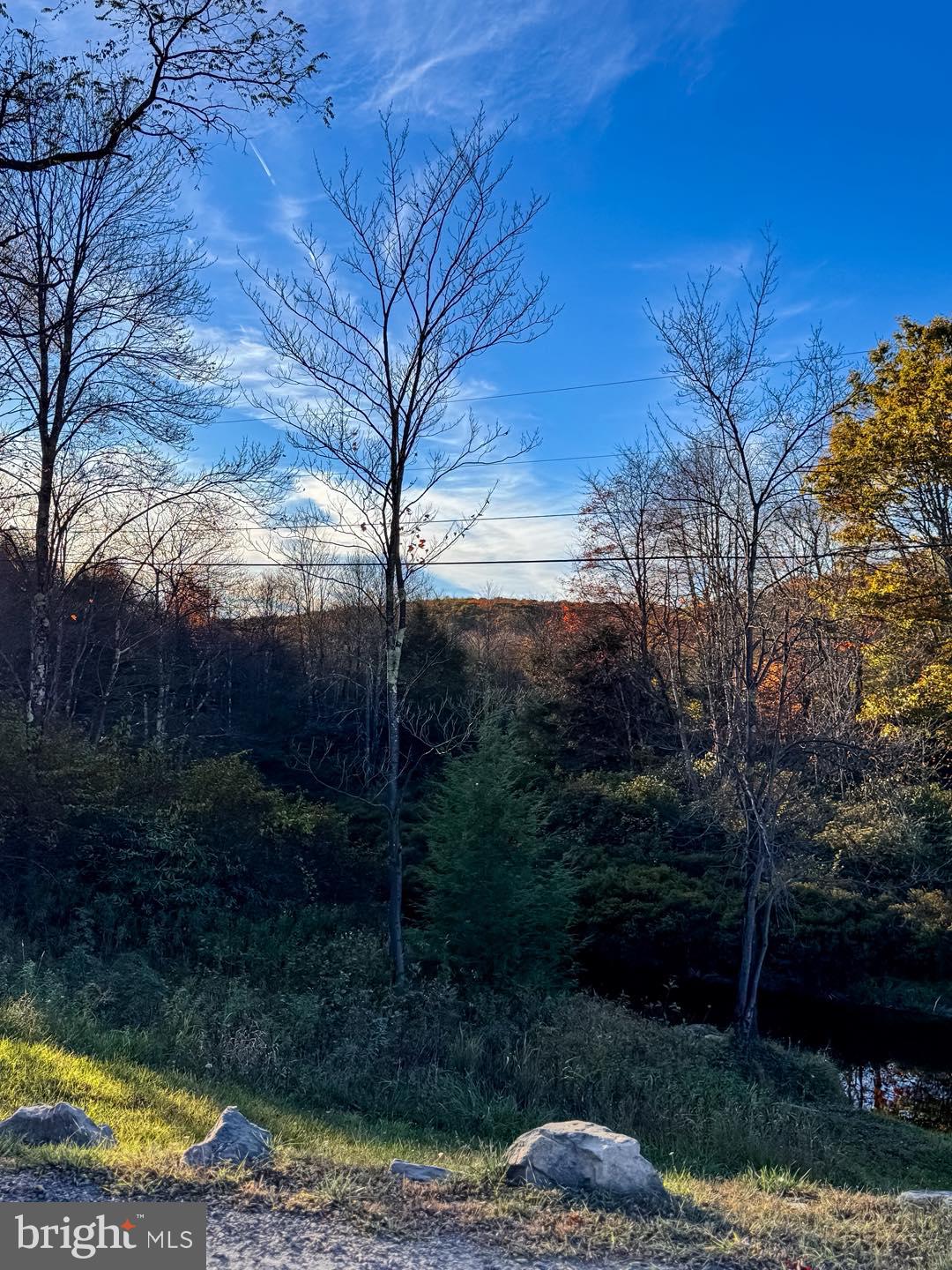 YOUGH MT. RESORT - Land