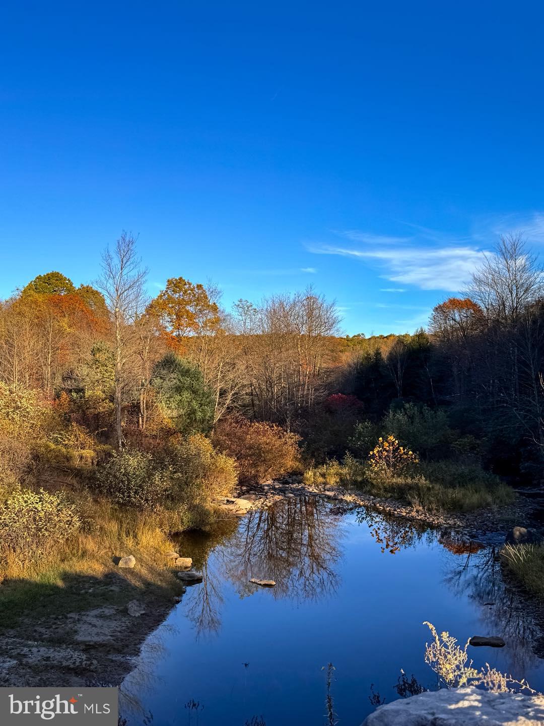 YOUGH MT. RESORT - Land