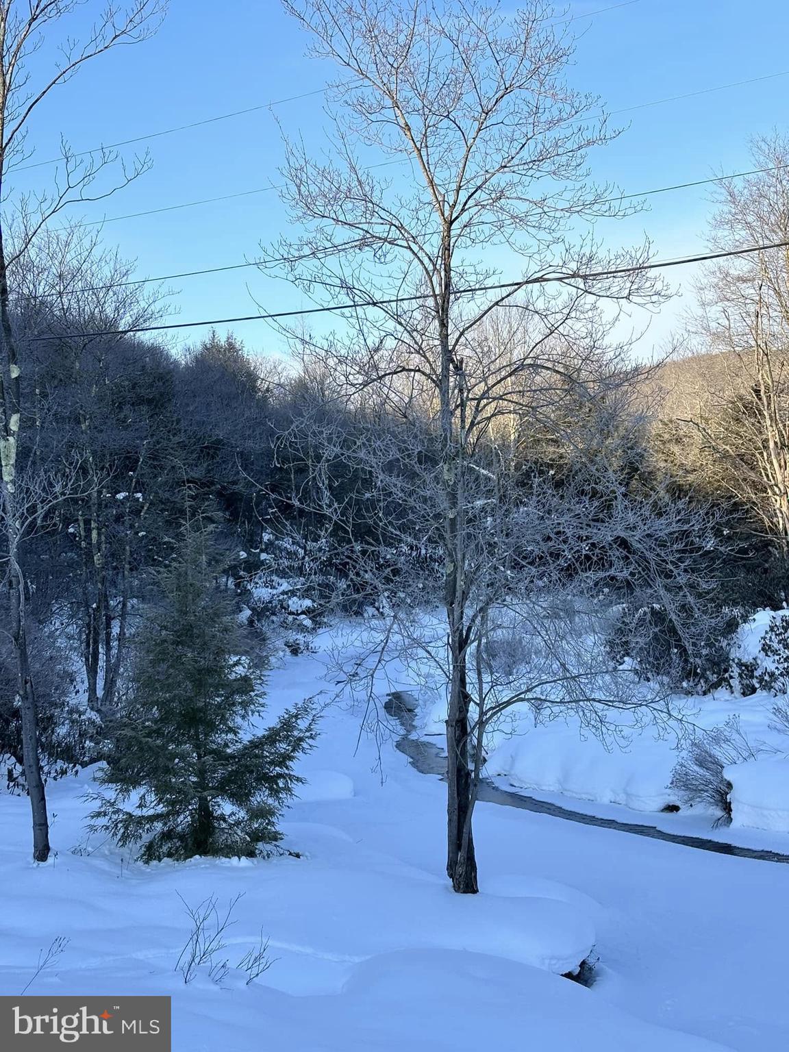 YOUGH MT. RESORT - Land