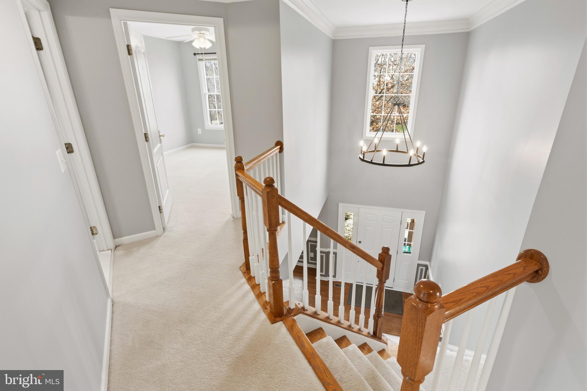 DOMINION VALLEY - Residential