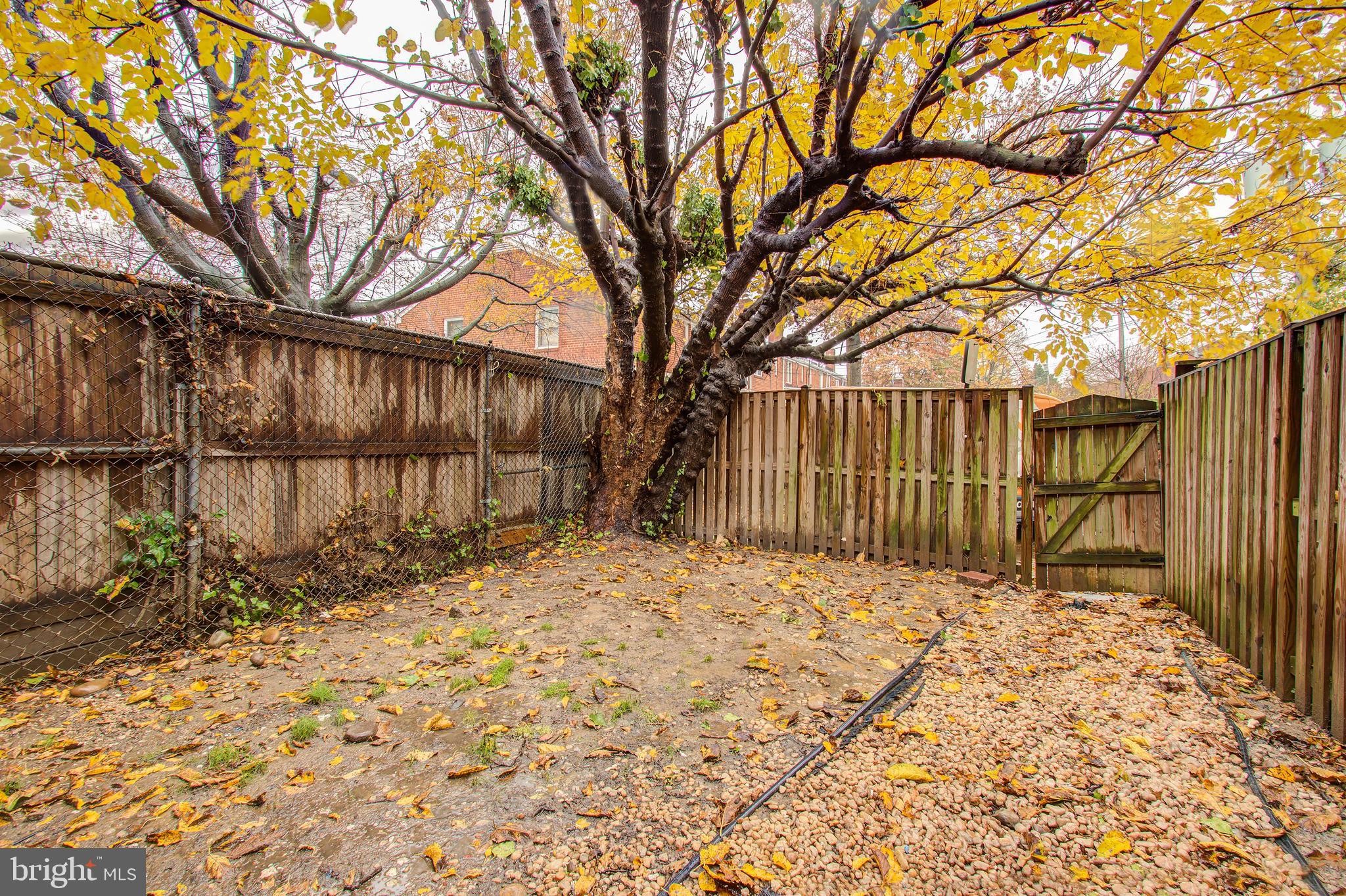 KENWOOD TOWERS - Residential