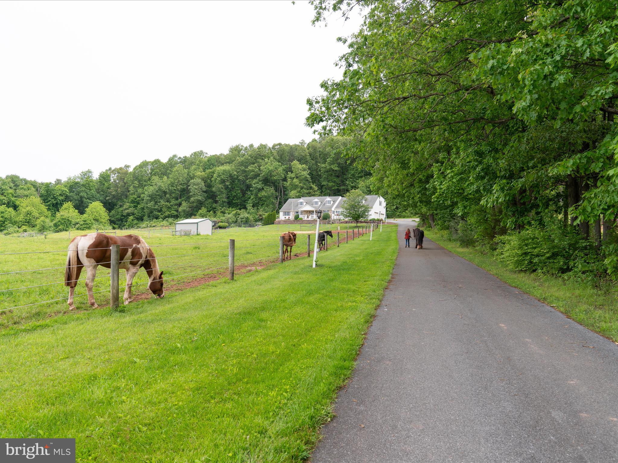 BRECKNOCK TWP - Farm