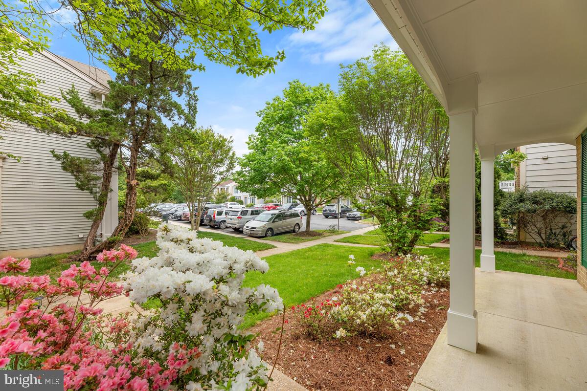 DUMONT OAKS - Residential