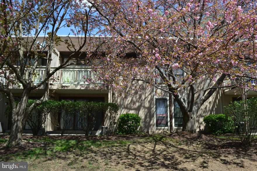 ***Reduced*** Bright and Airy.  Very nice and  updated ground level 1 Bedroom condo in West Springfield. New carpet and paint throughout. Updated kitchen with new refrigerator, dishwasher and range.  Updated bathroom.  Move in Ready!  Great location!  Close to schools and shopping.