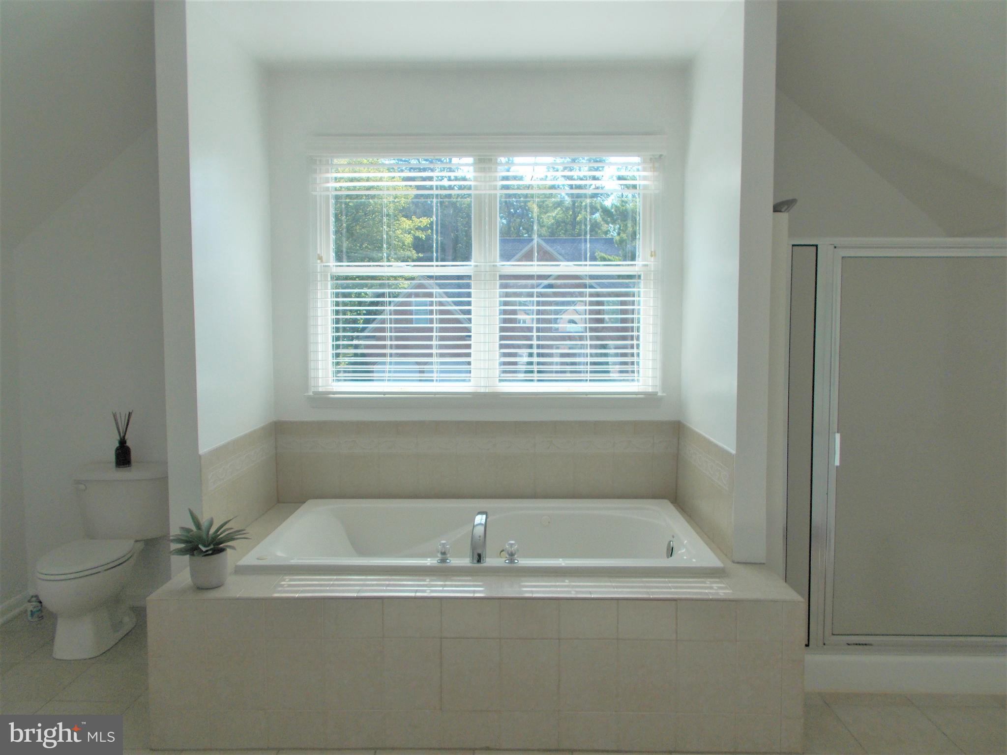 VAN LEAR - Residential Lease