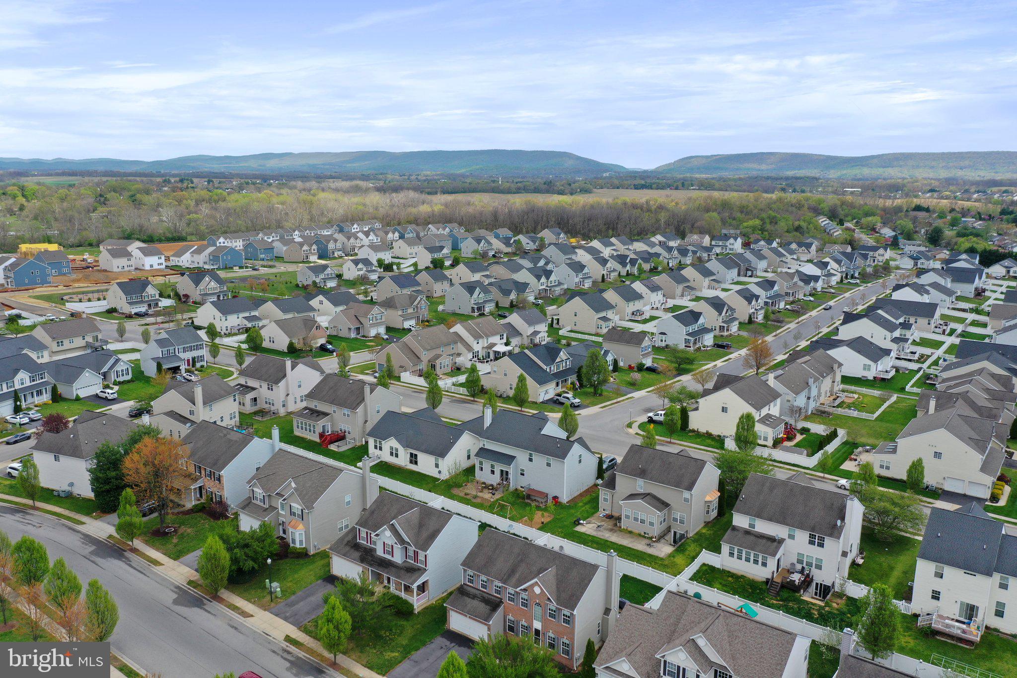 SHENANDOAH SPRINGS - Residential