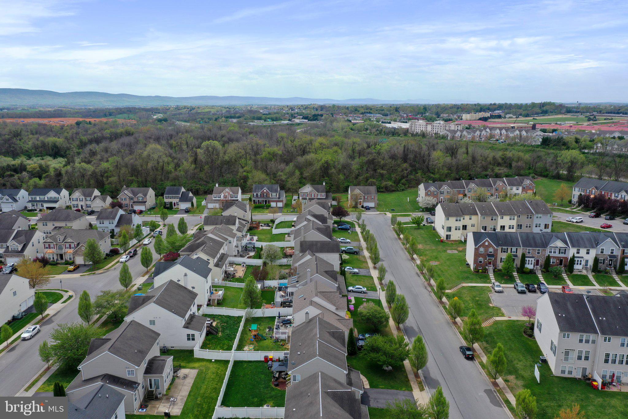 SHENANDOAH SPRINGS - Residential