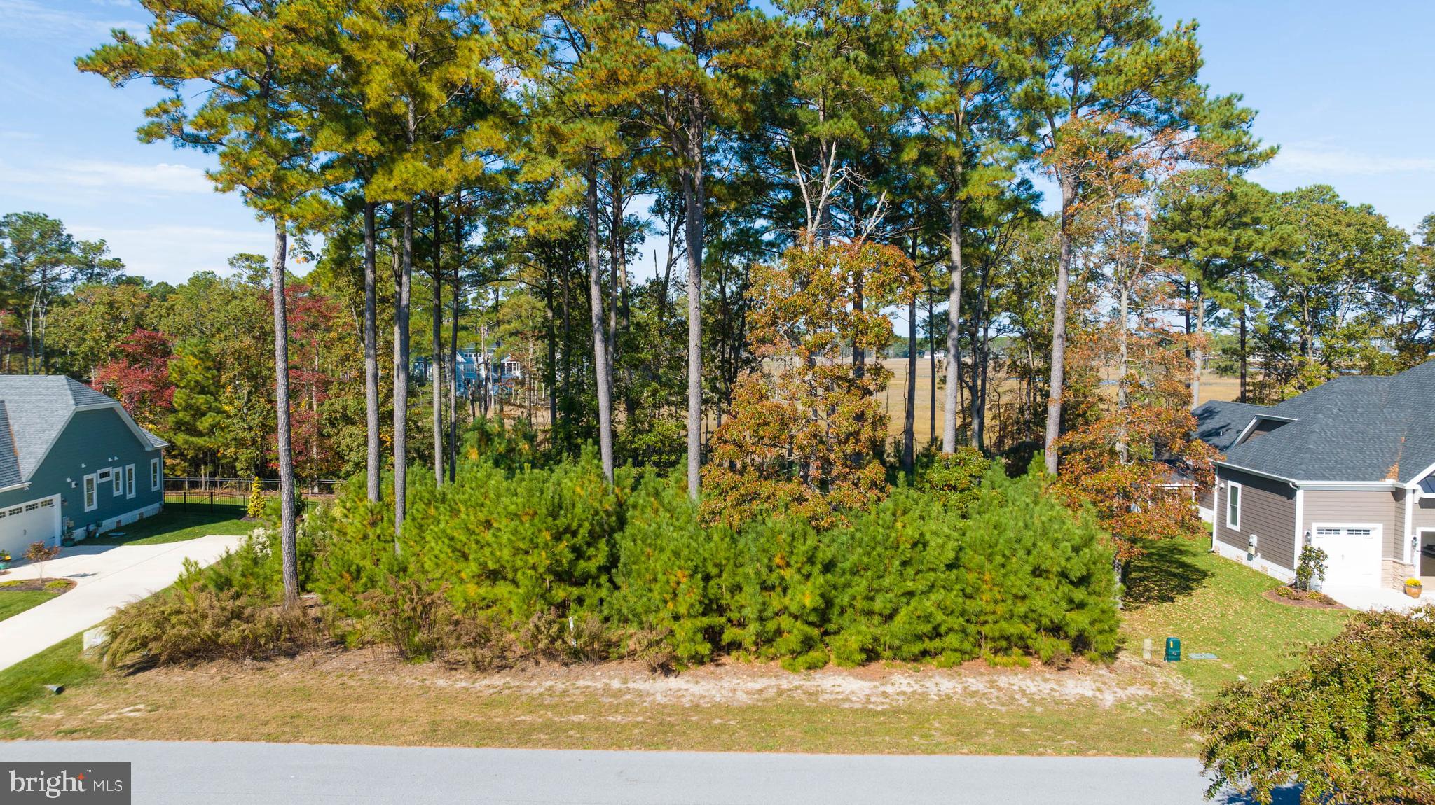 31896 SHELL LANDING WAY