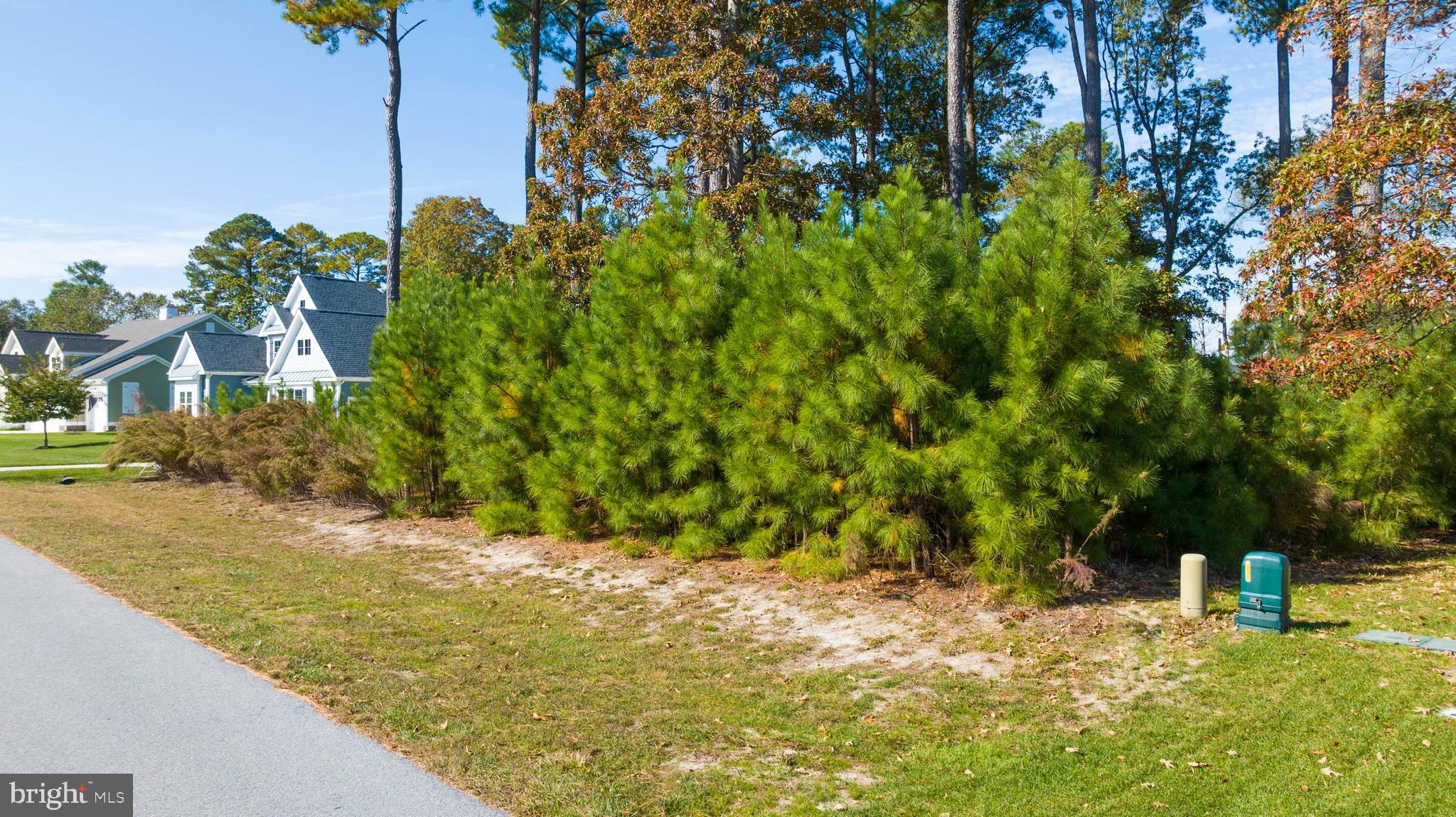 31896 SHELL LANDING WAY