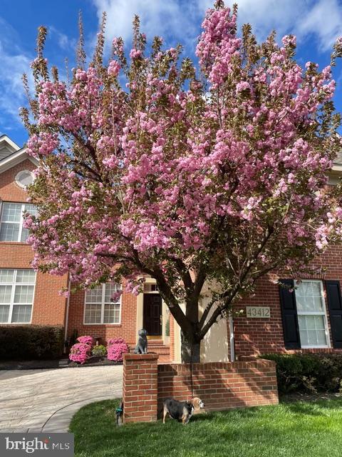 RIVER CREEK - Residential