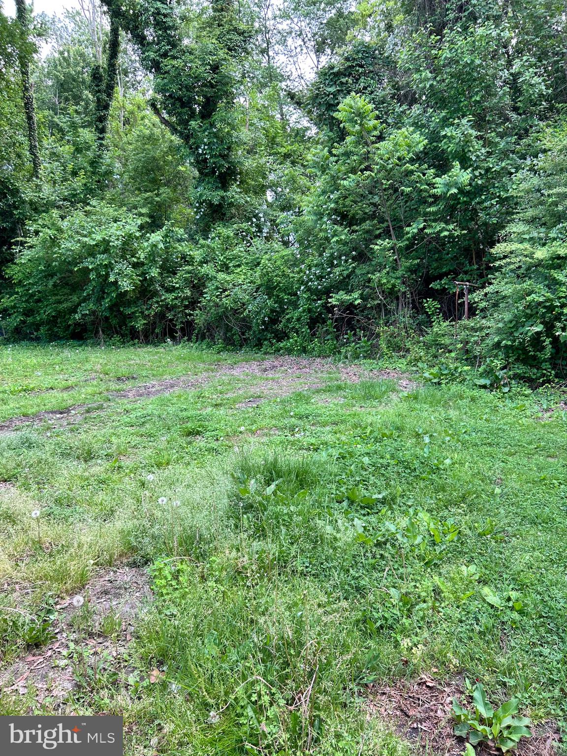 CAMBRIDGE - Residential