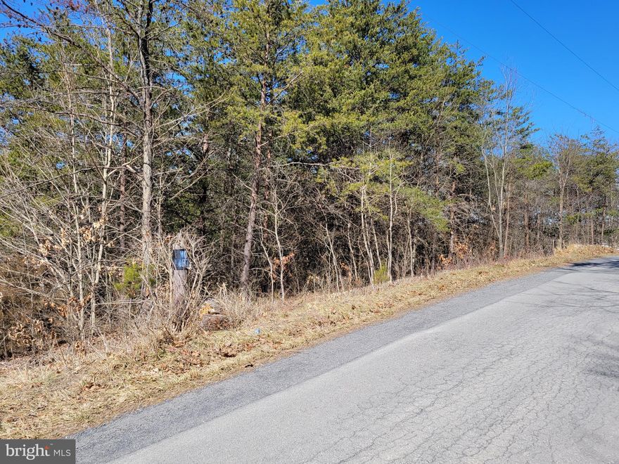 Property consists of 2 wooded lots for approximately 4.22 total acres. Located about 15 minutes from downtown Berkeley Springs and all of the weekend activities that this area has to offer. Build a home on either lot, or both lots. Would make a good location for family members to have their own place and still have some privacy. Lot 1 is serviced by a hardcap road so easy access year round. Lot 3 is serviced by a 40' right of way on the northeast side of Lot 1.