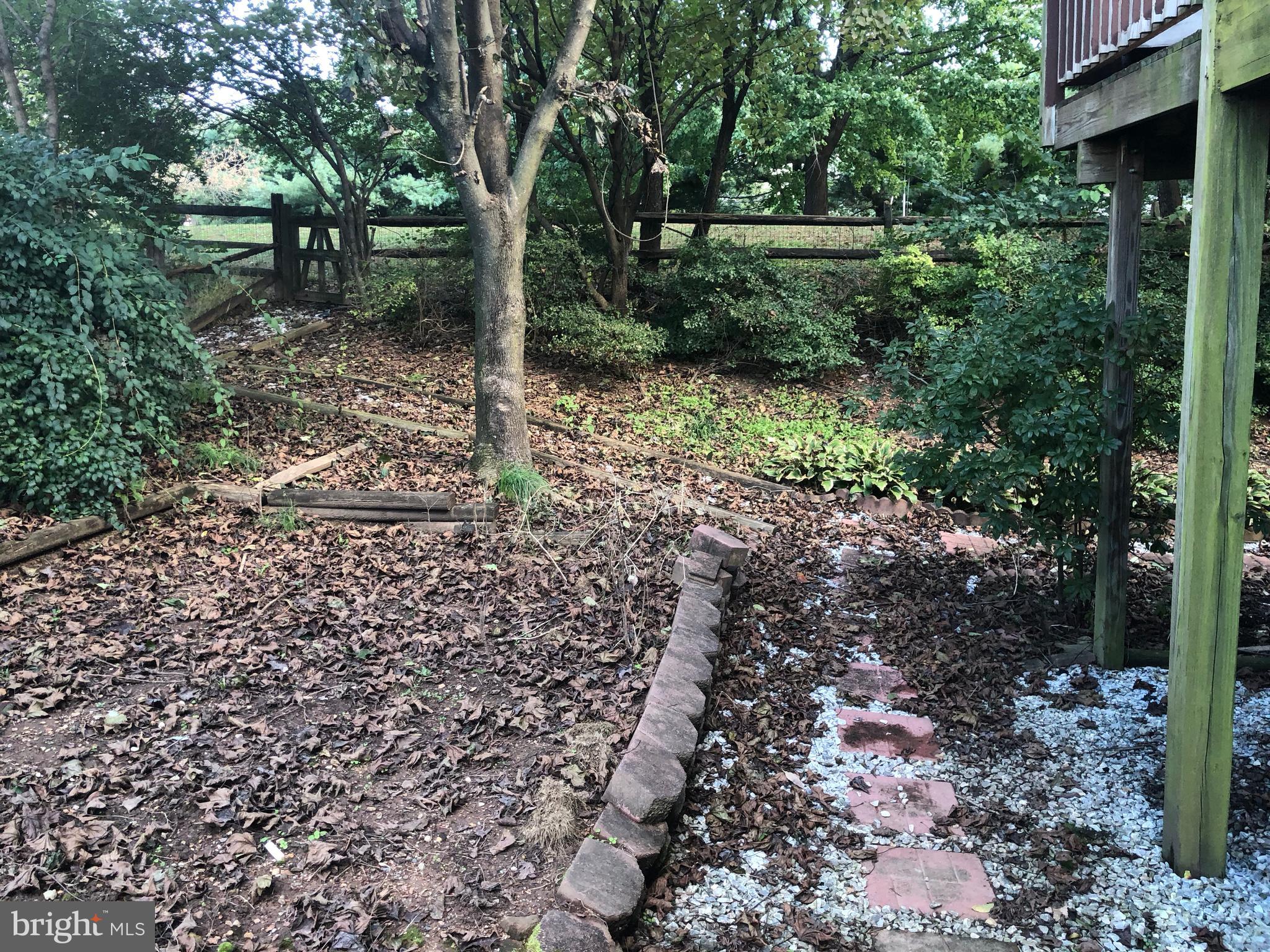 WASHINGTON CENTER - Residential