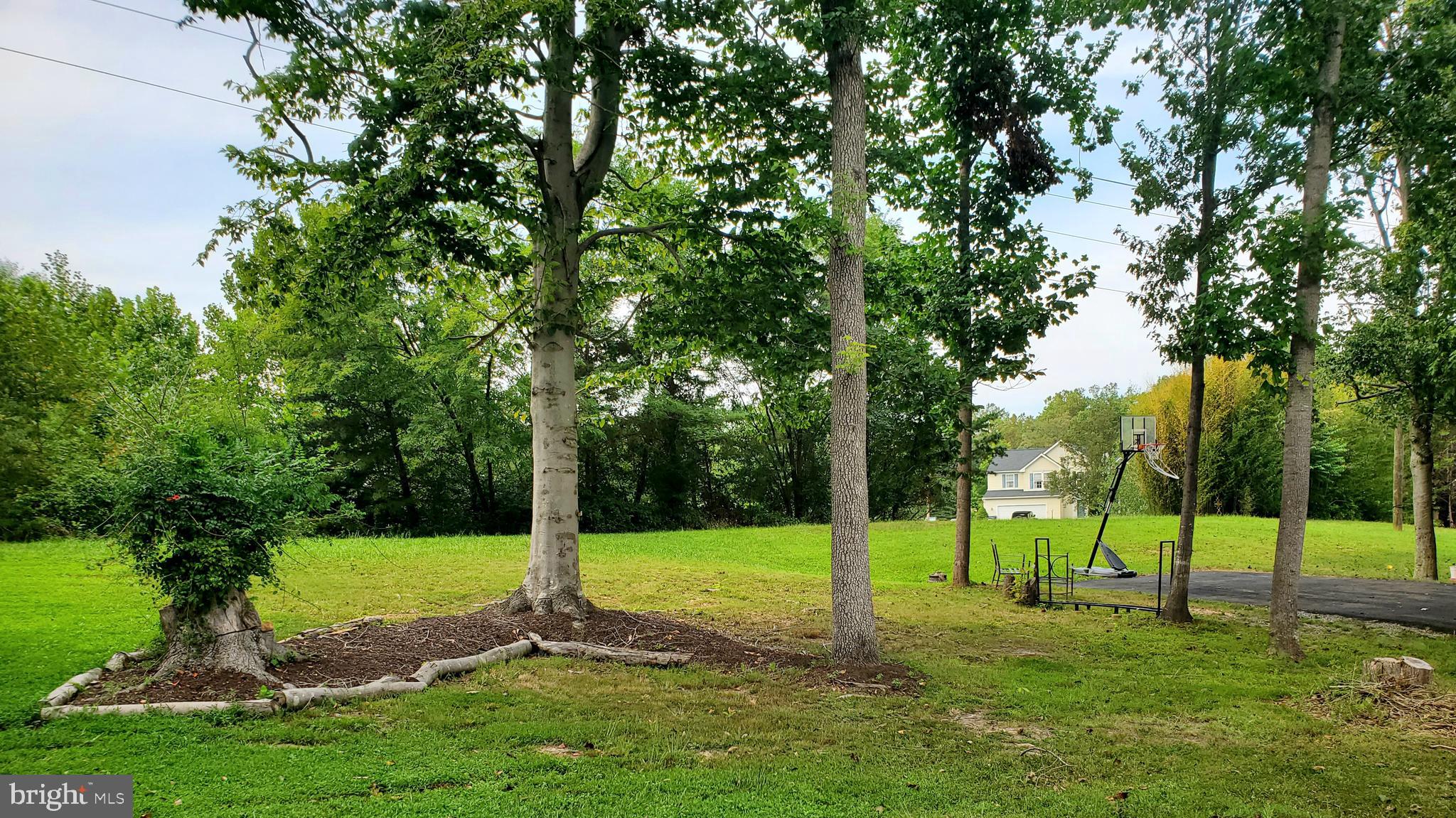 SEQUOIA ESTATES - Residential