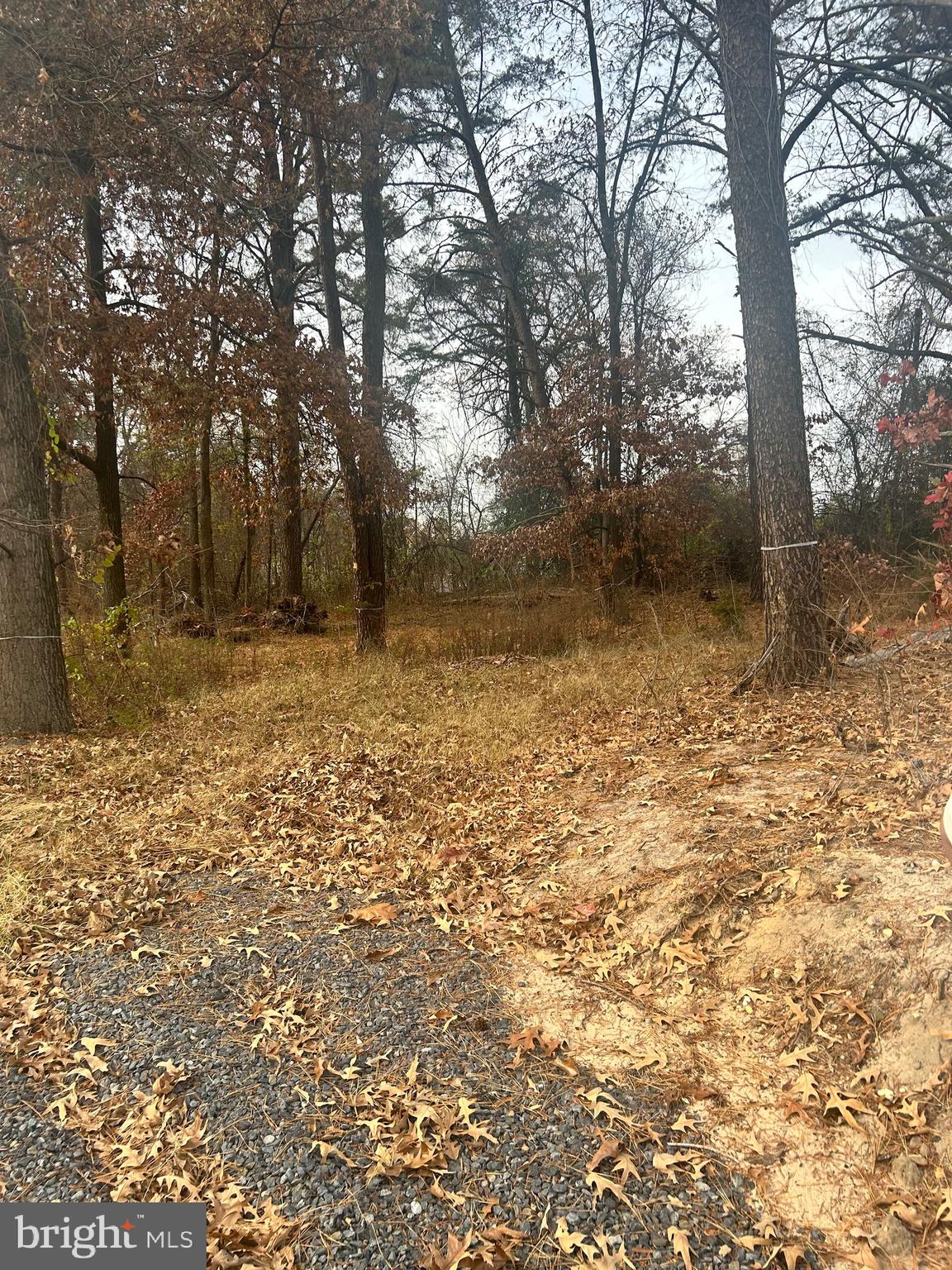 7616 W B & A ROAD