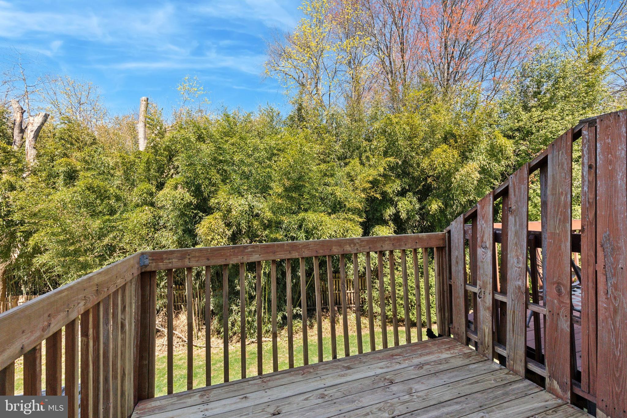 VILLAGE OF SHANNON - Residential