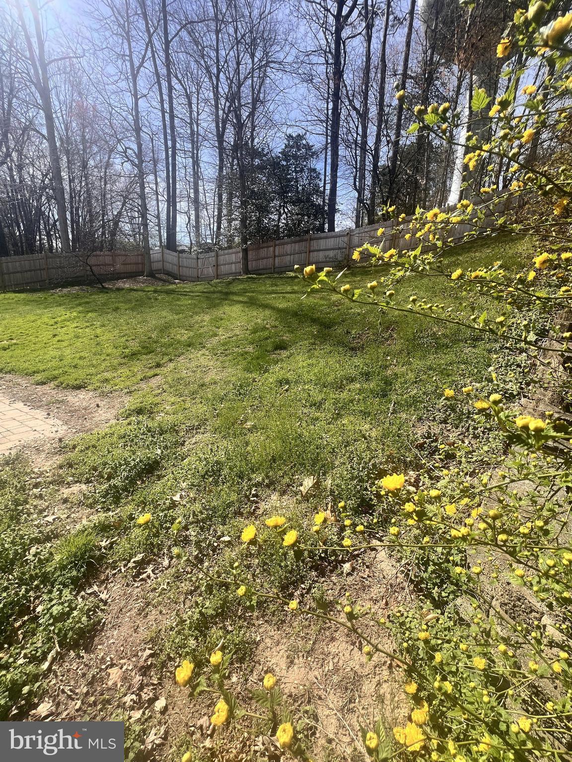 OAKLAND PARK - Residential