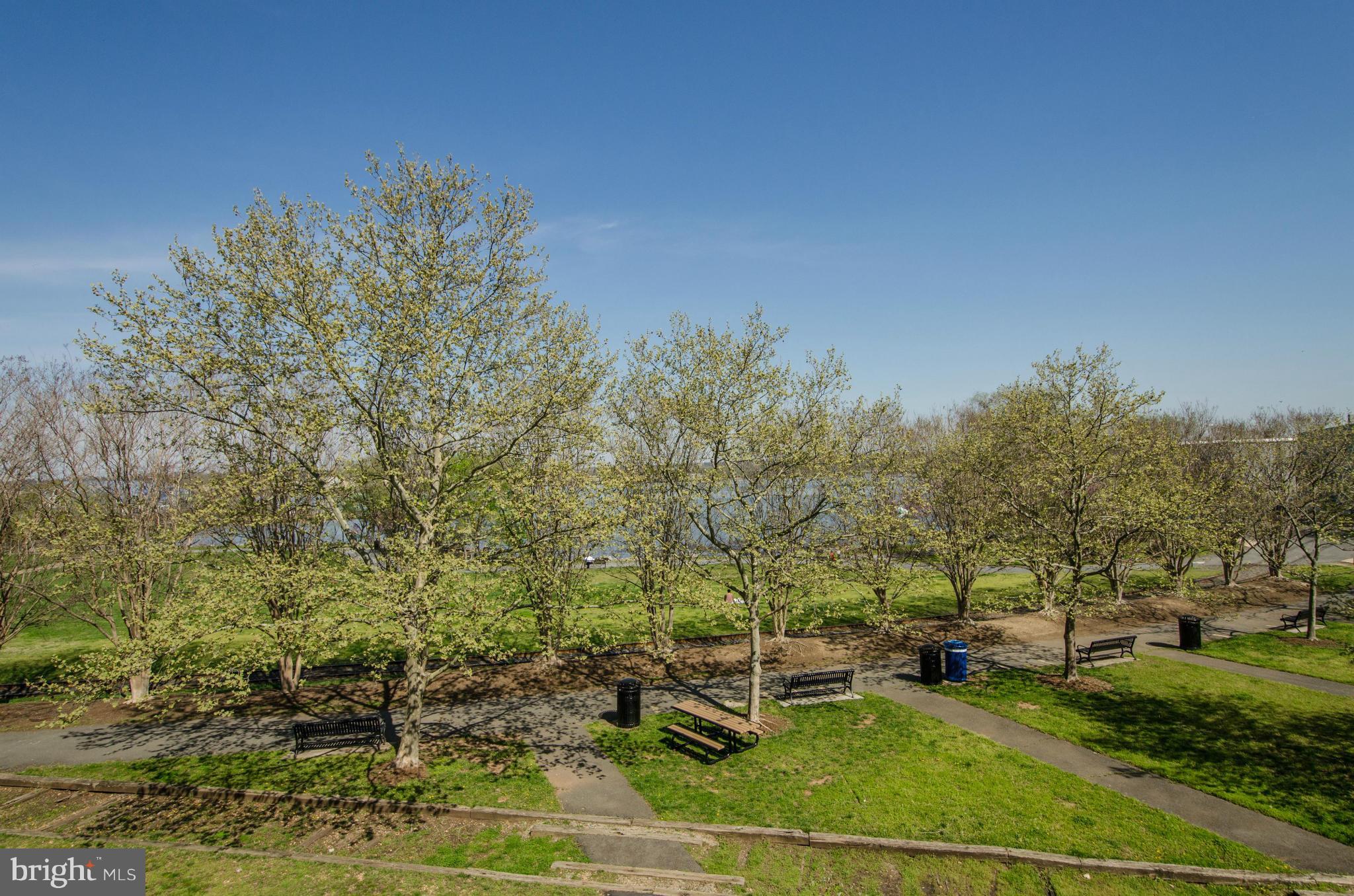 THE ORONOCO - Residential