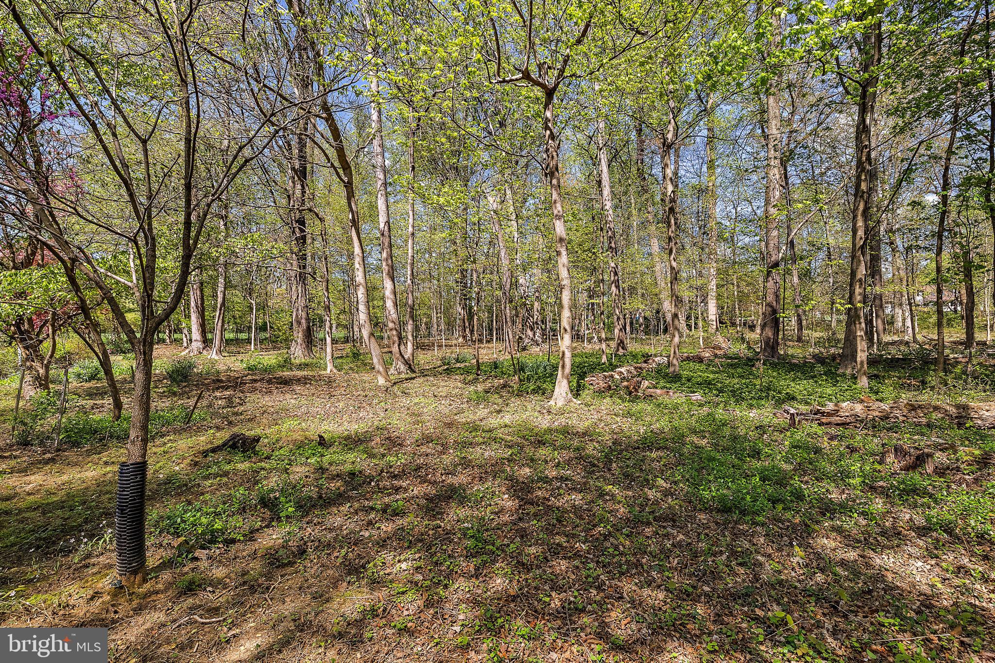SPRING MEADOWS - Residential