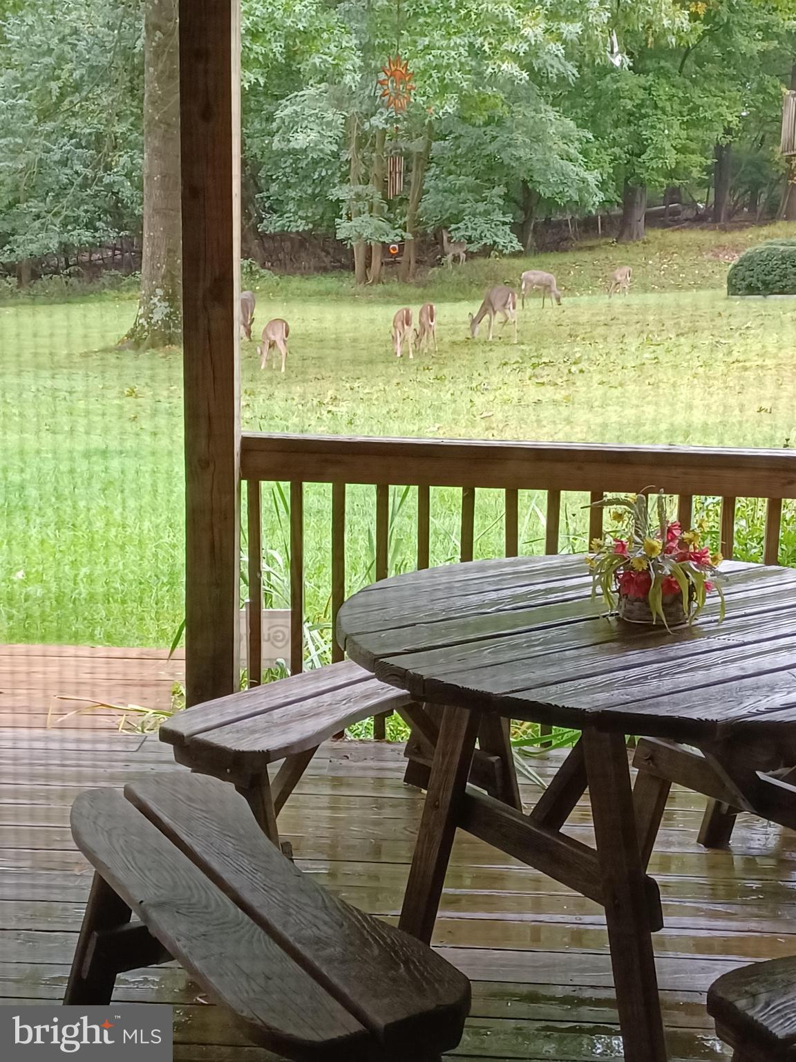 PADONIA COMPLEX - Residential