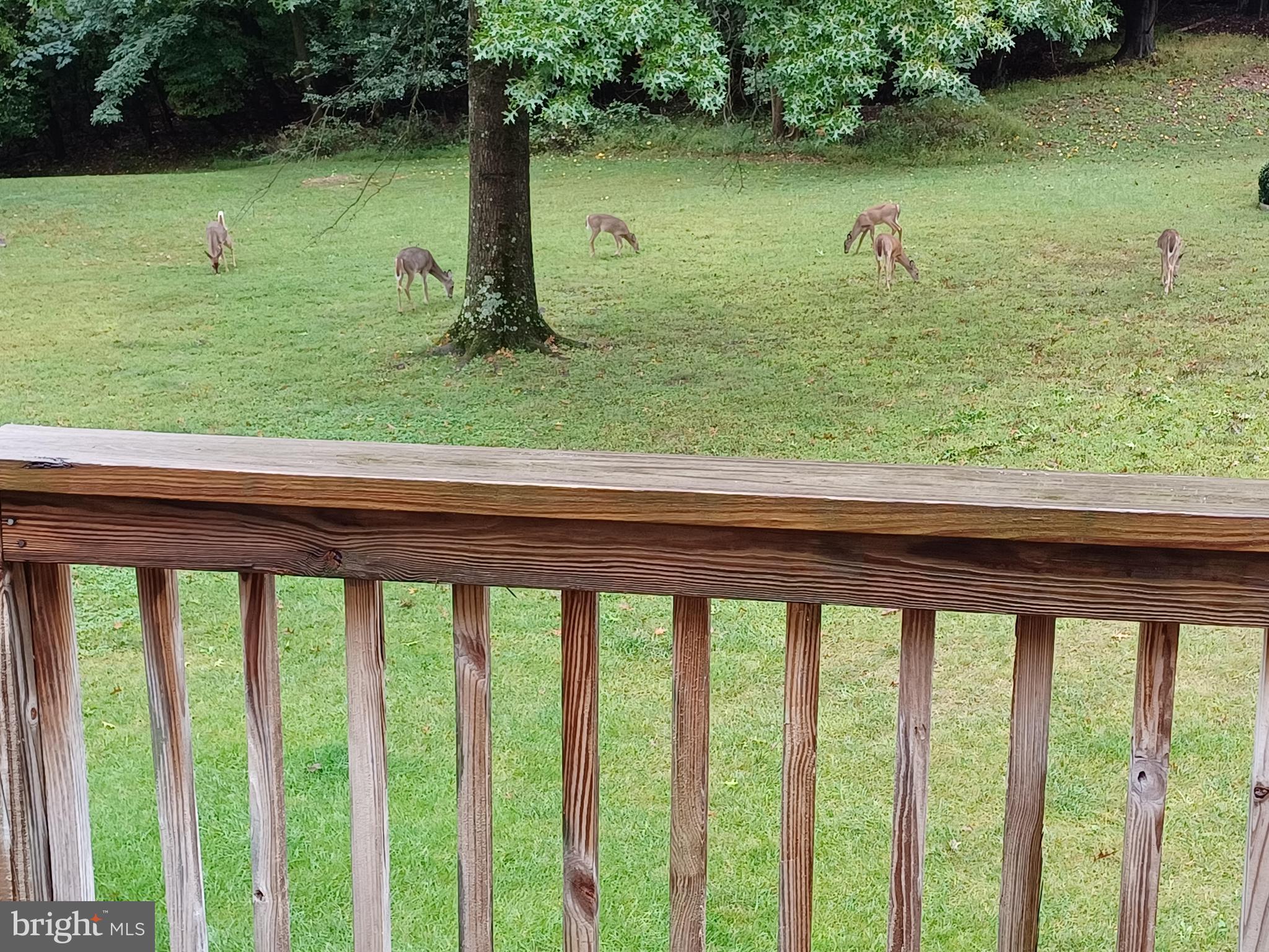 PADONIA COMPLEX - Residential