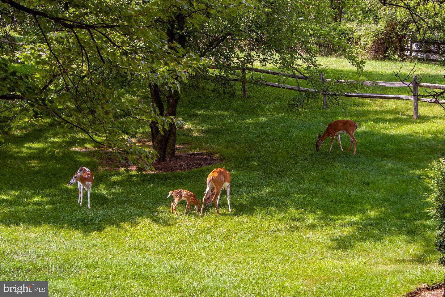 LONG REACH - Residential