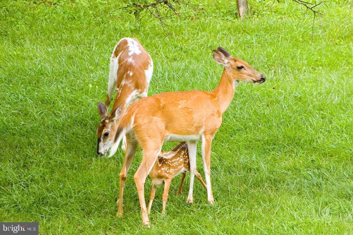 LONG REACH - Residential