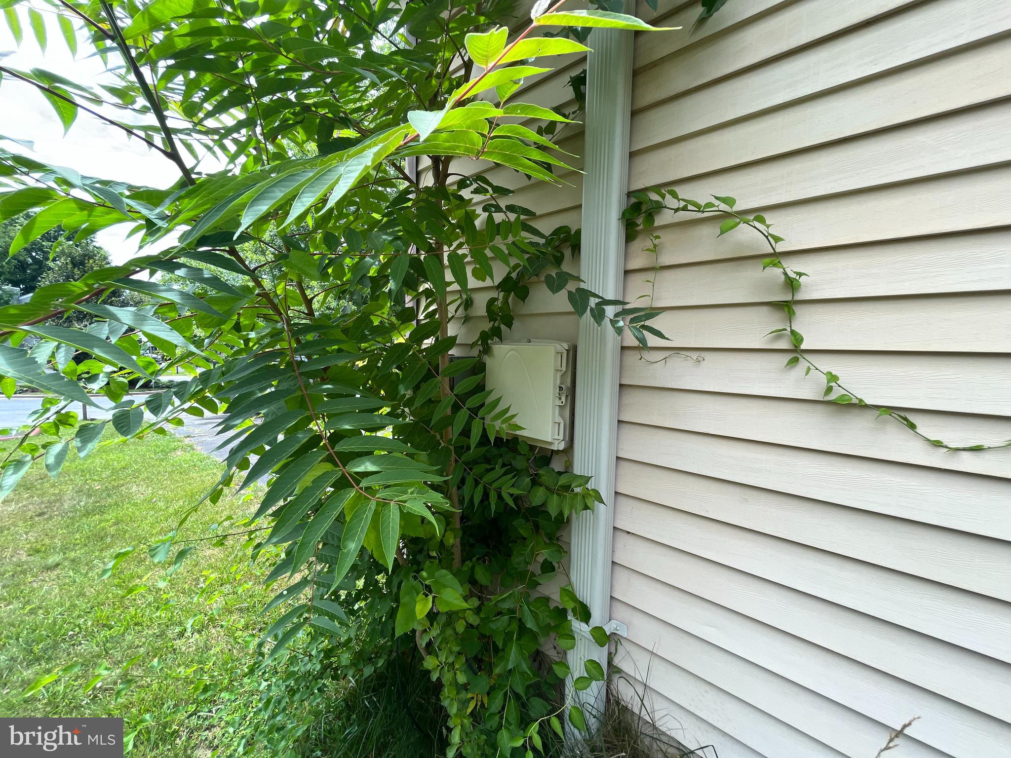 GERMANTOWN ESTATES - Residential