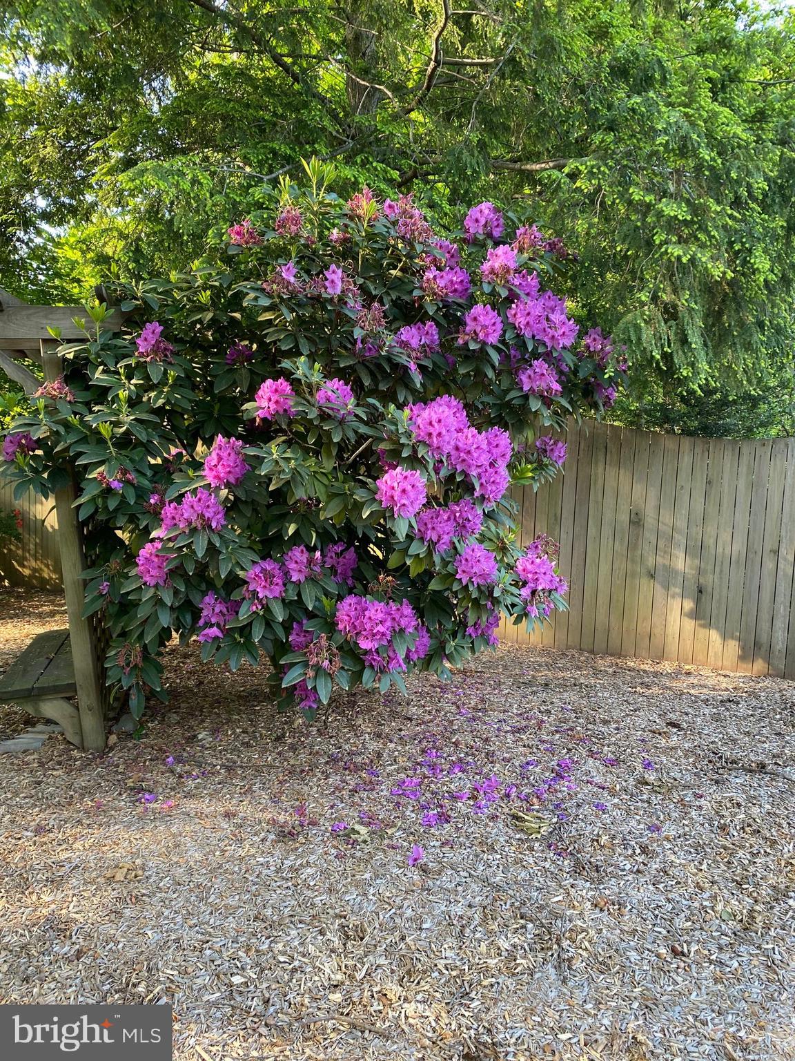 WEST SPRINGFIELD - Residential