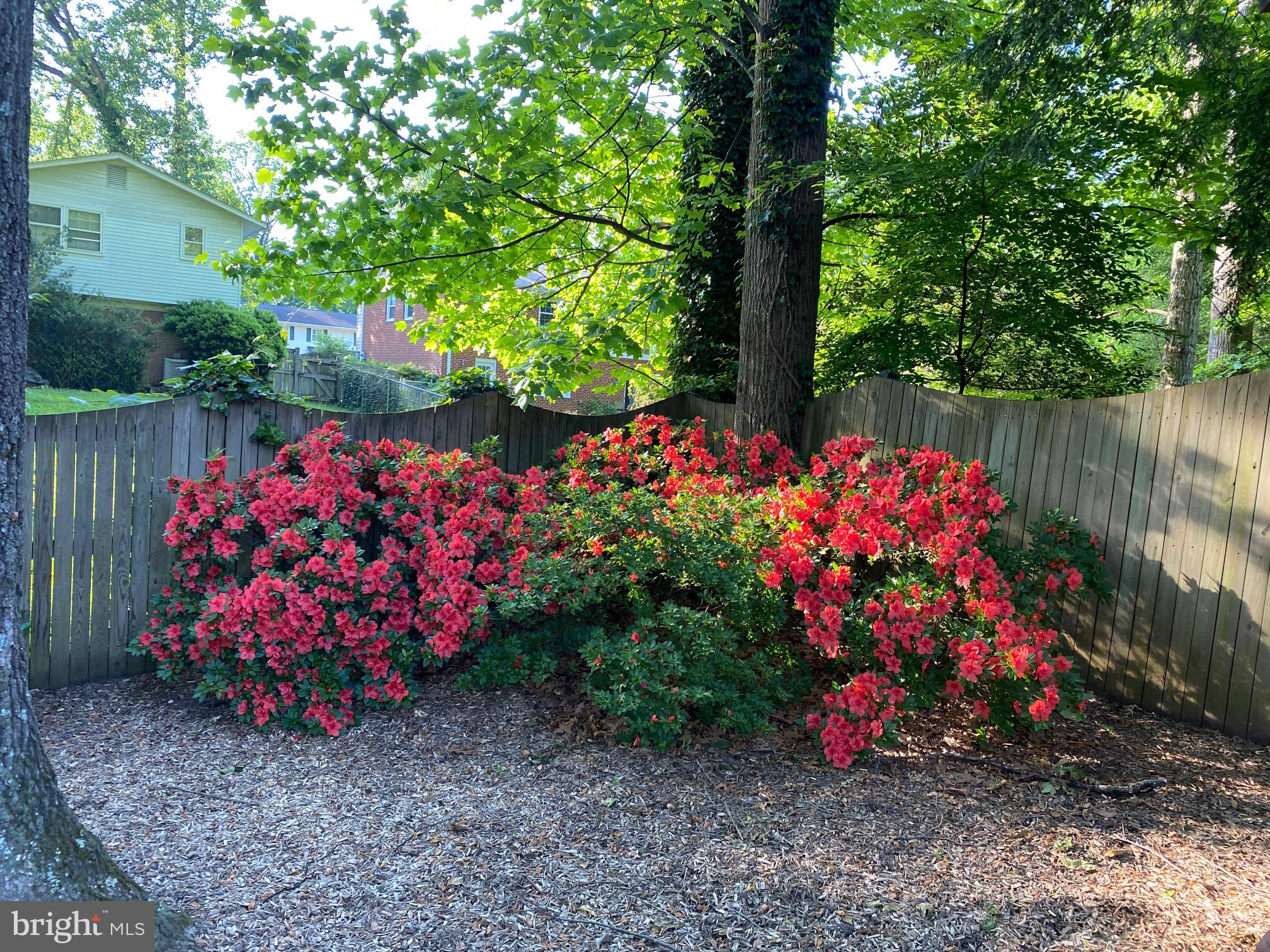 WEST SPRINGFIELD - Residential