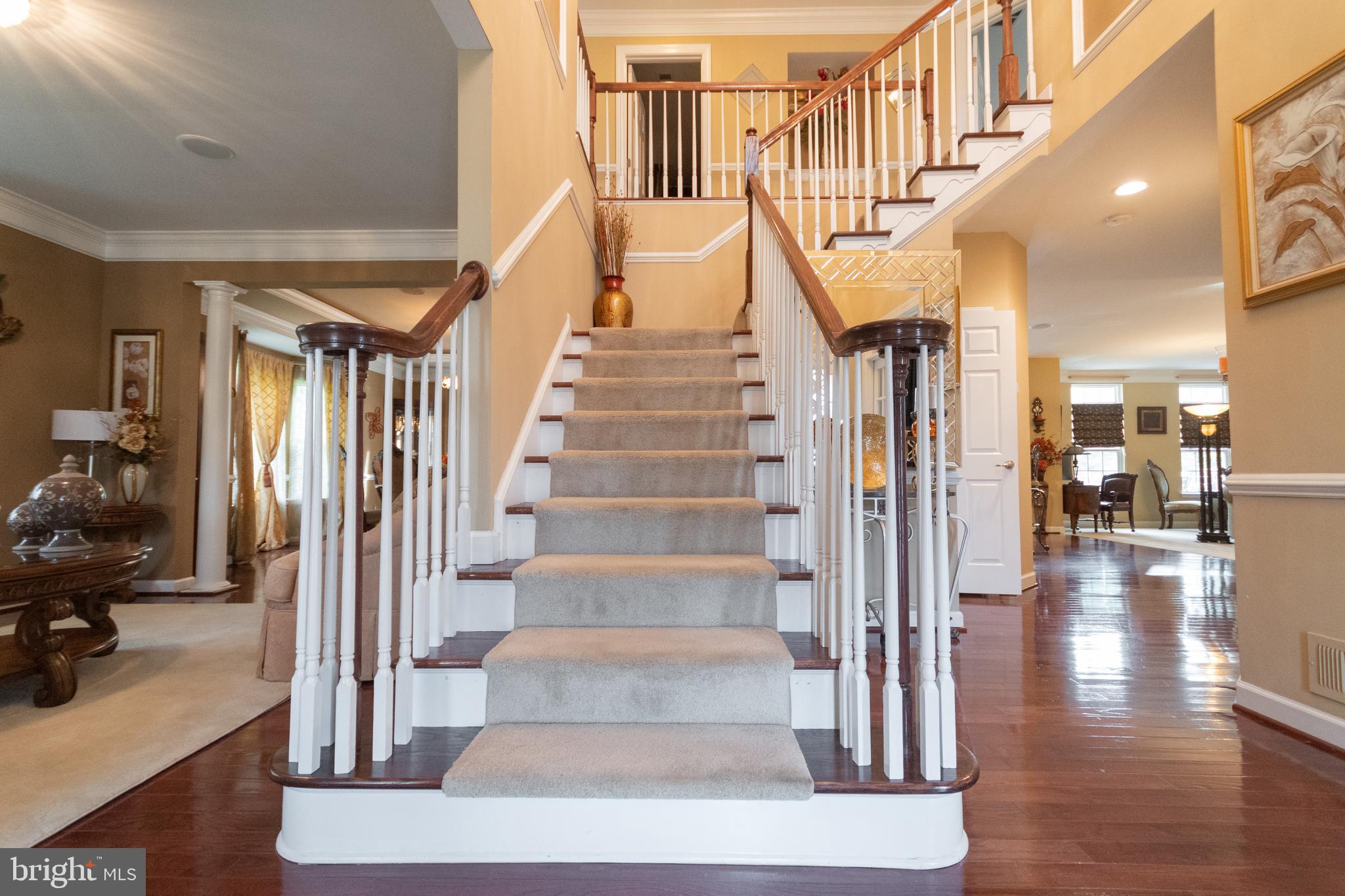 WATERBURY FOREST - Residential