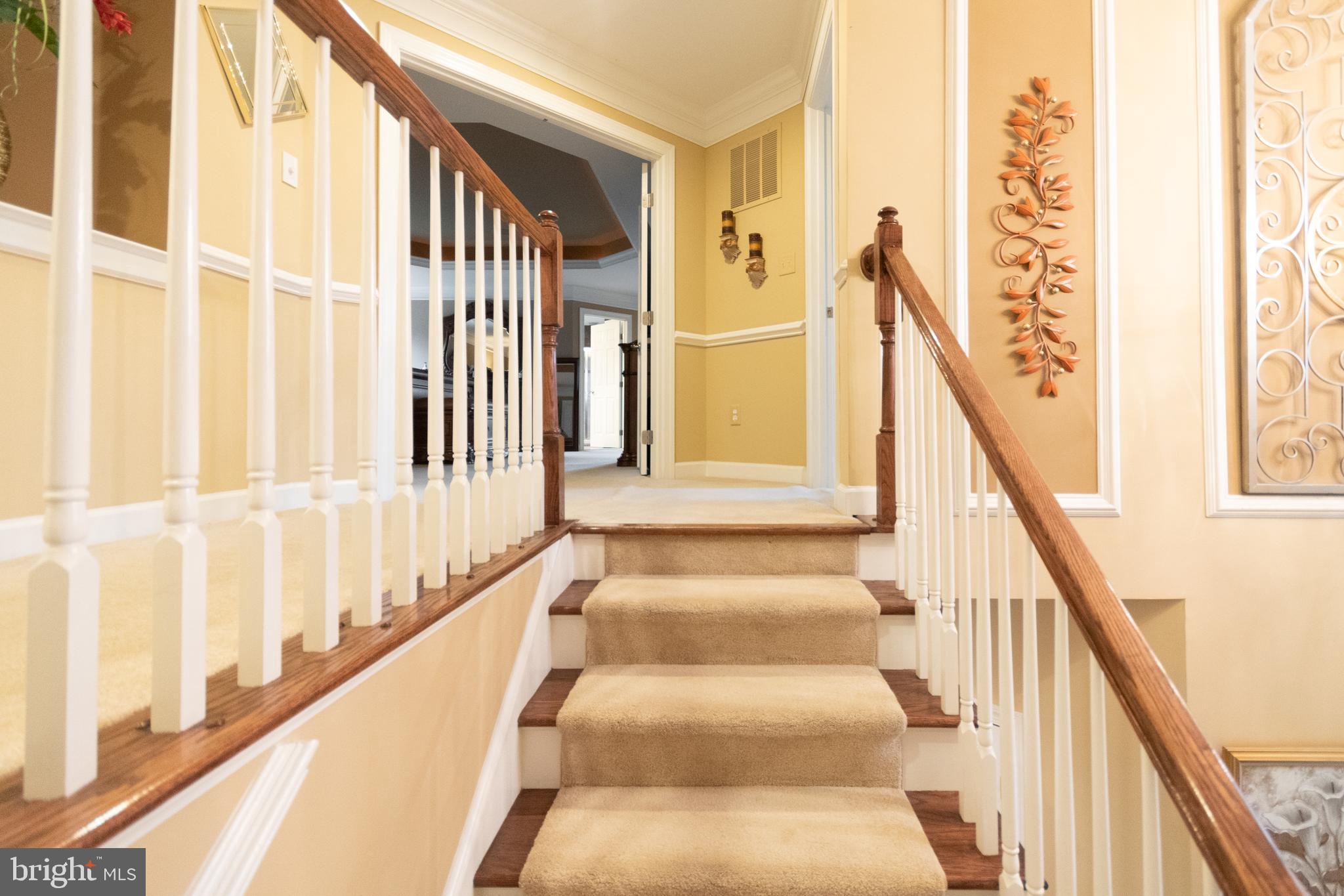 WATERBURY FOREST - Residential