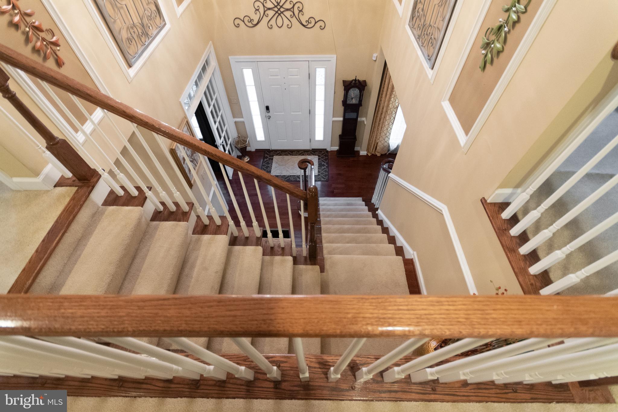 WATERBURY FOREST - Residential