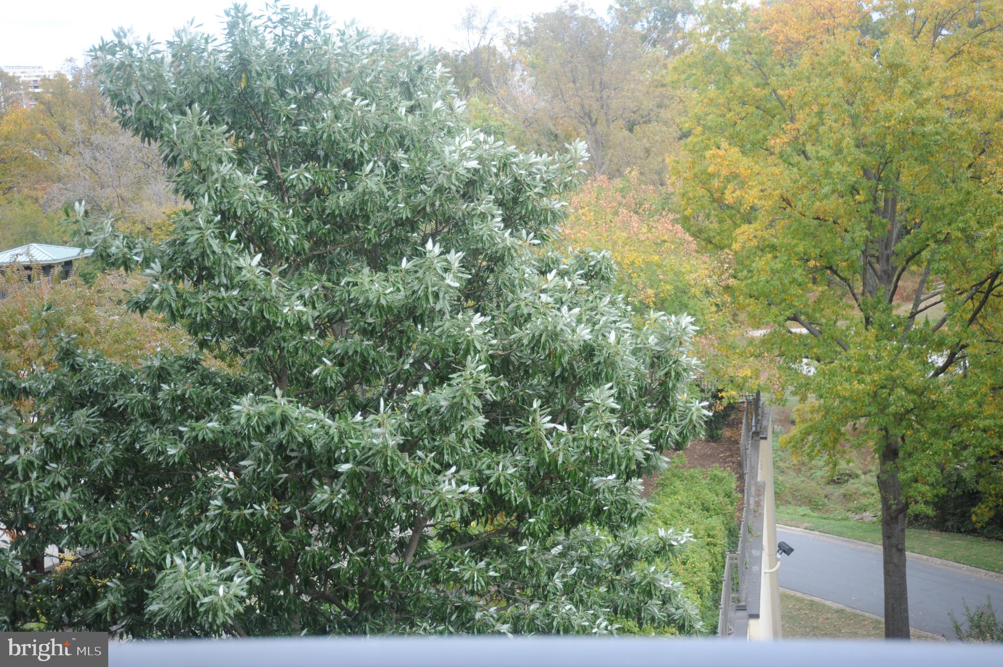 PROMENADE TOWERS - Residential Lease