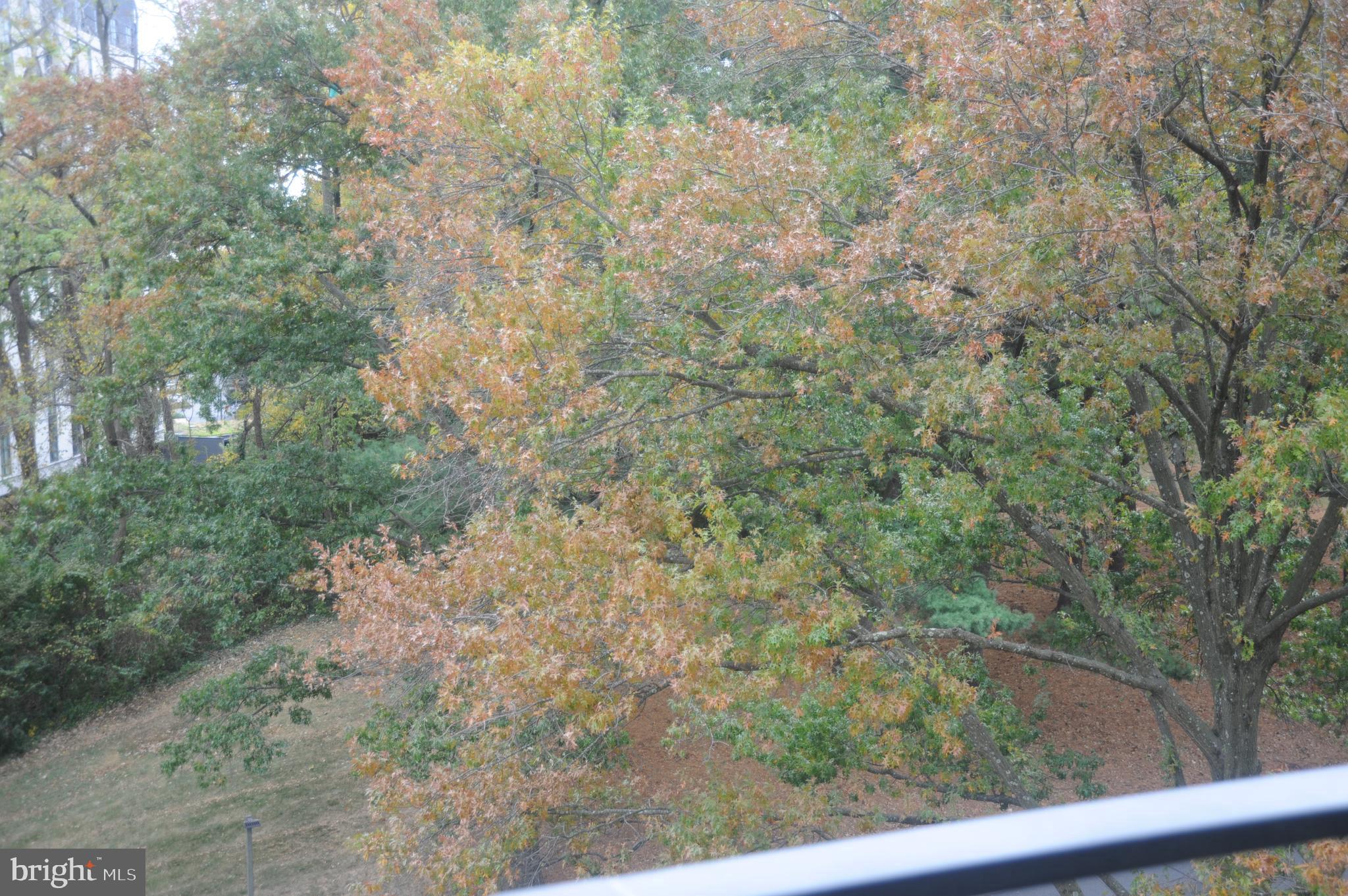 PROMENADE TOWERS - Residential Lease